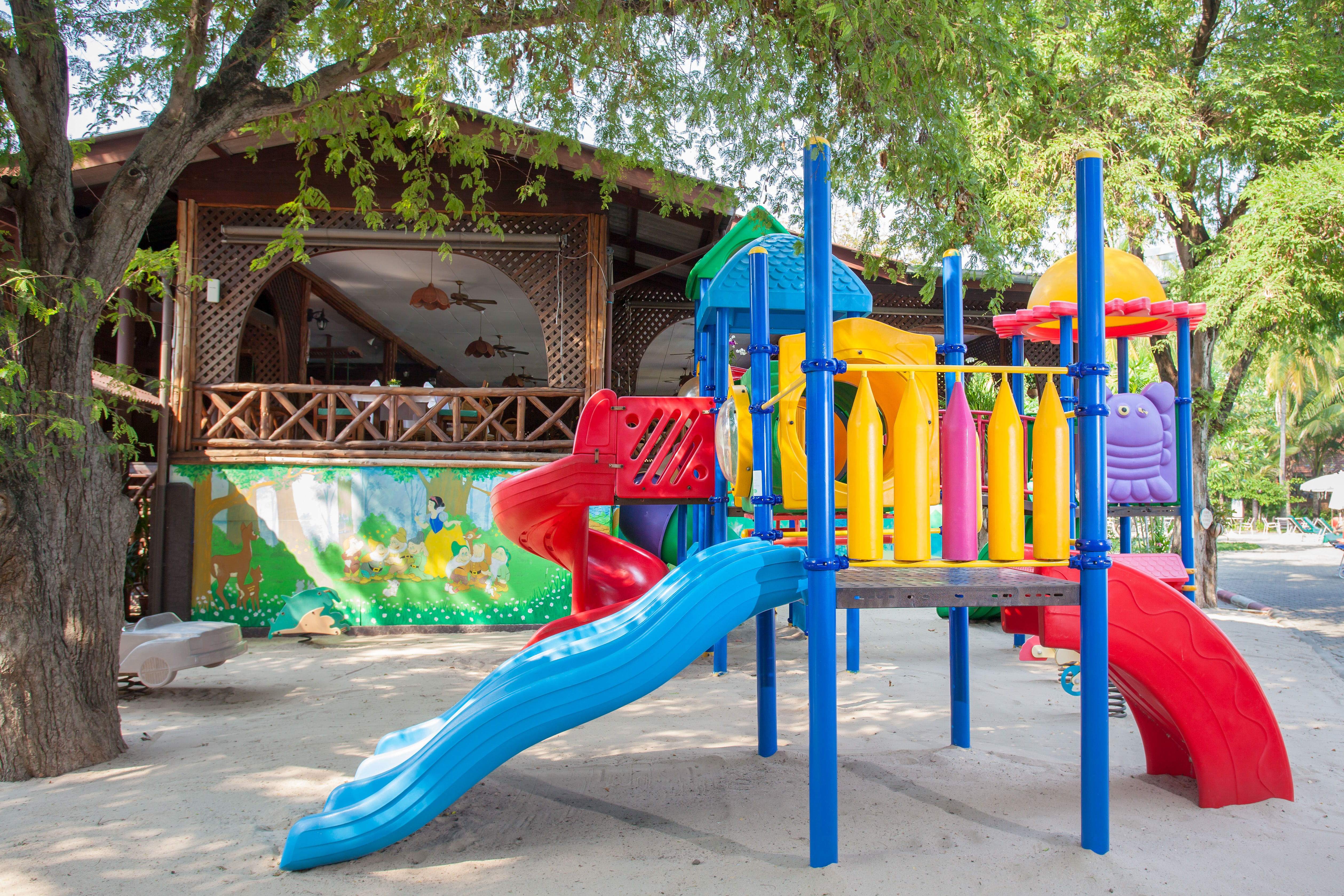 Sports and Entertainment