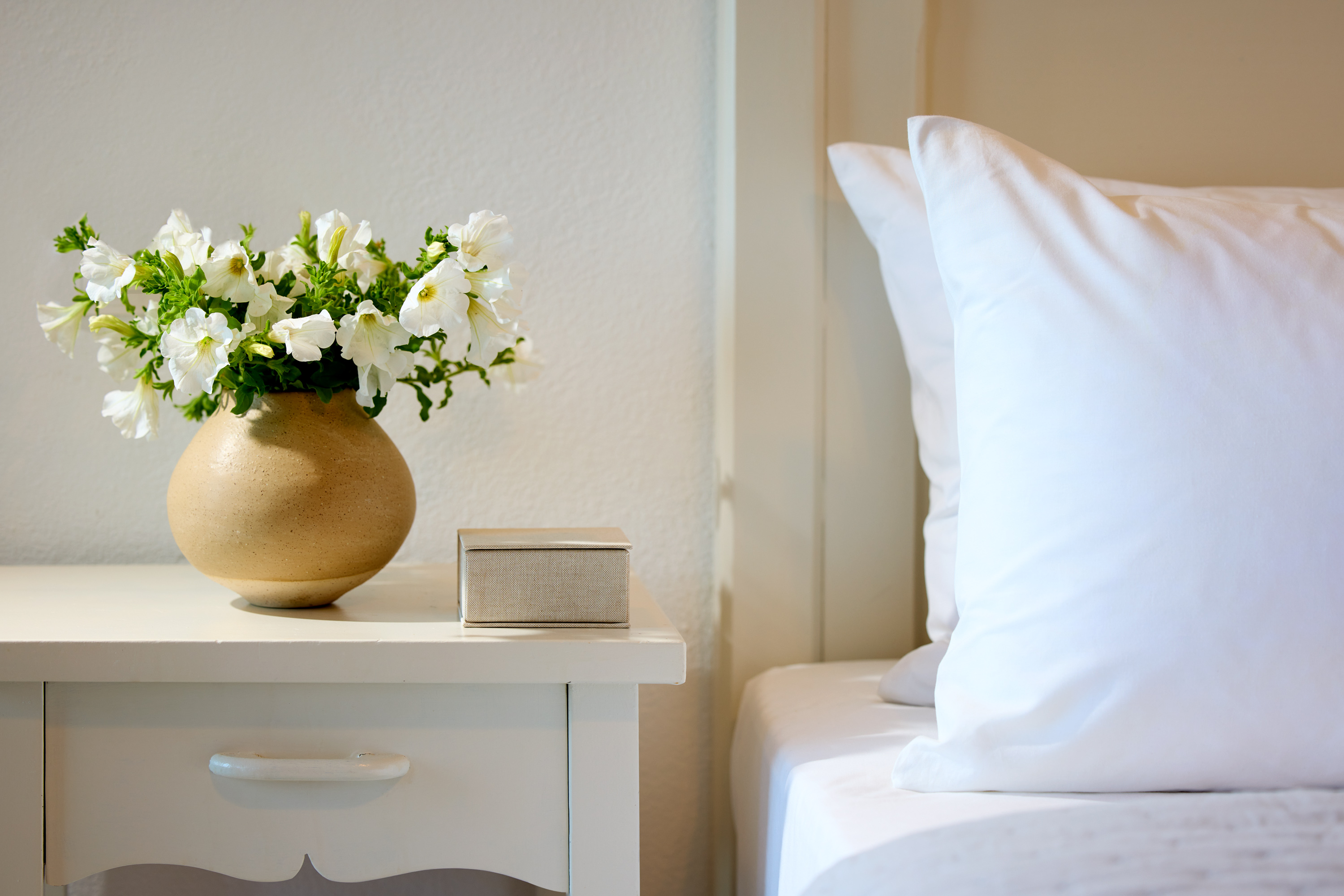 Suite One Bedroom One Bathroom