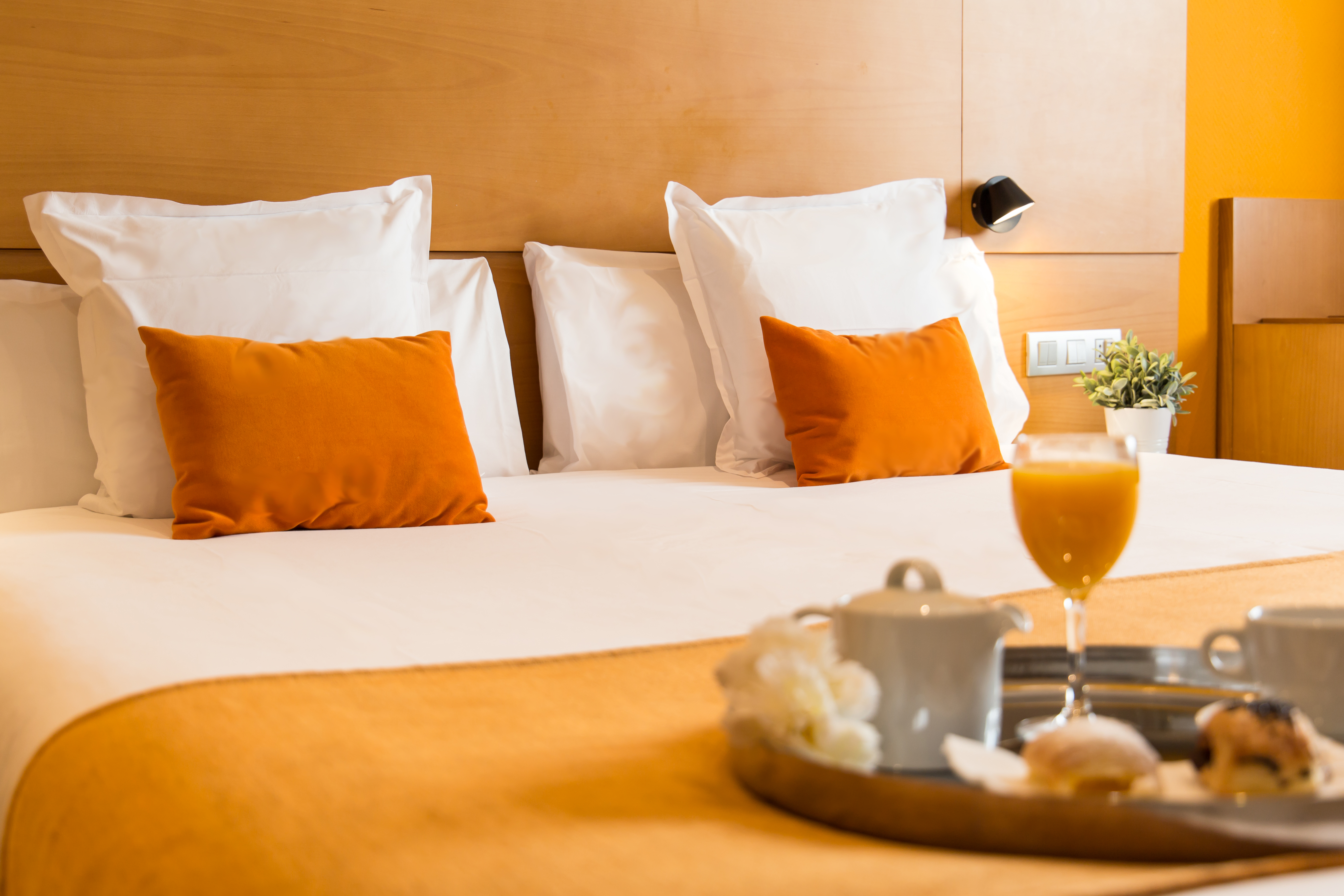 Double Single Deluxe