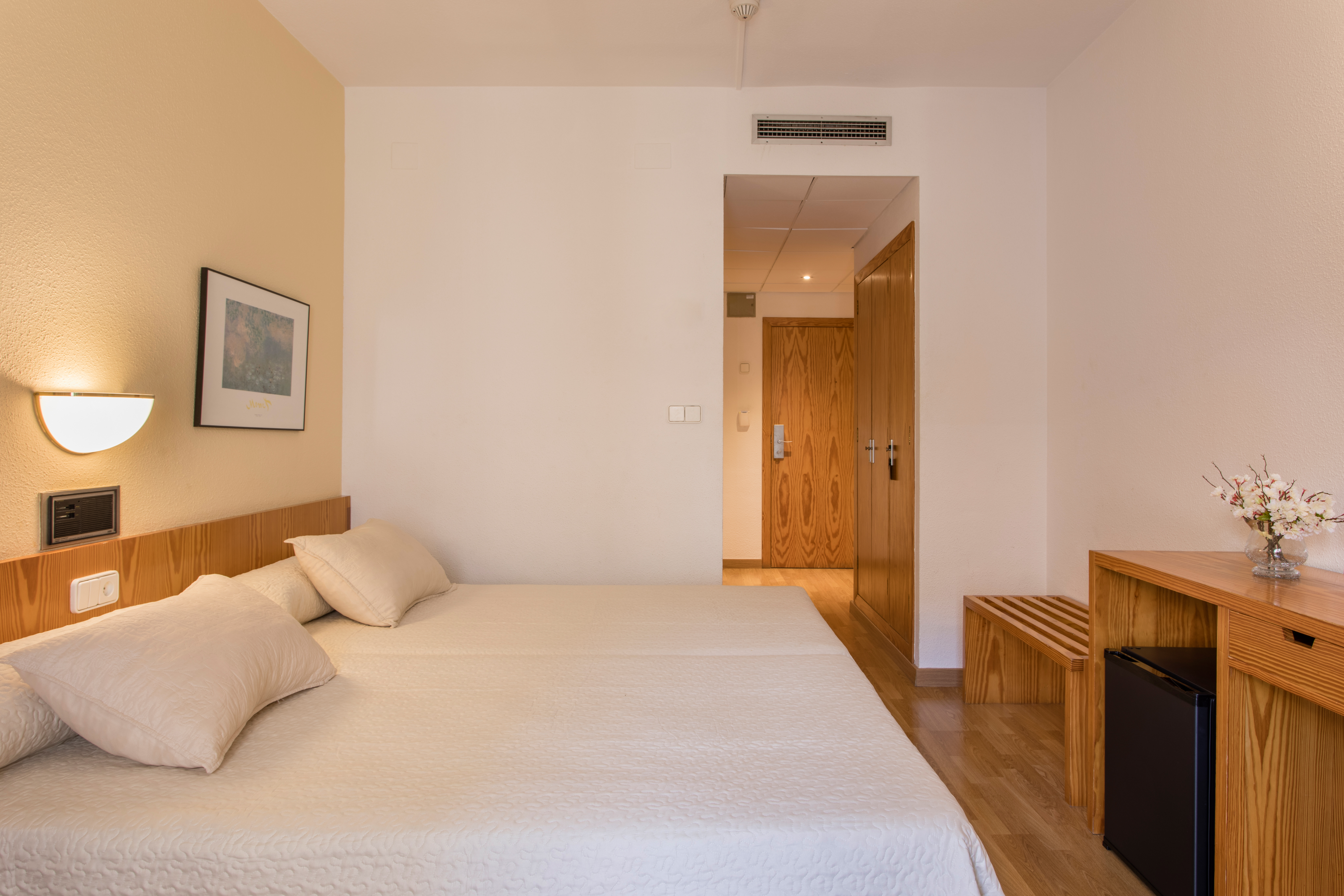 Double or Twin Capacity 3