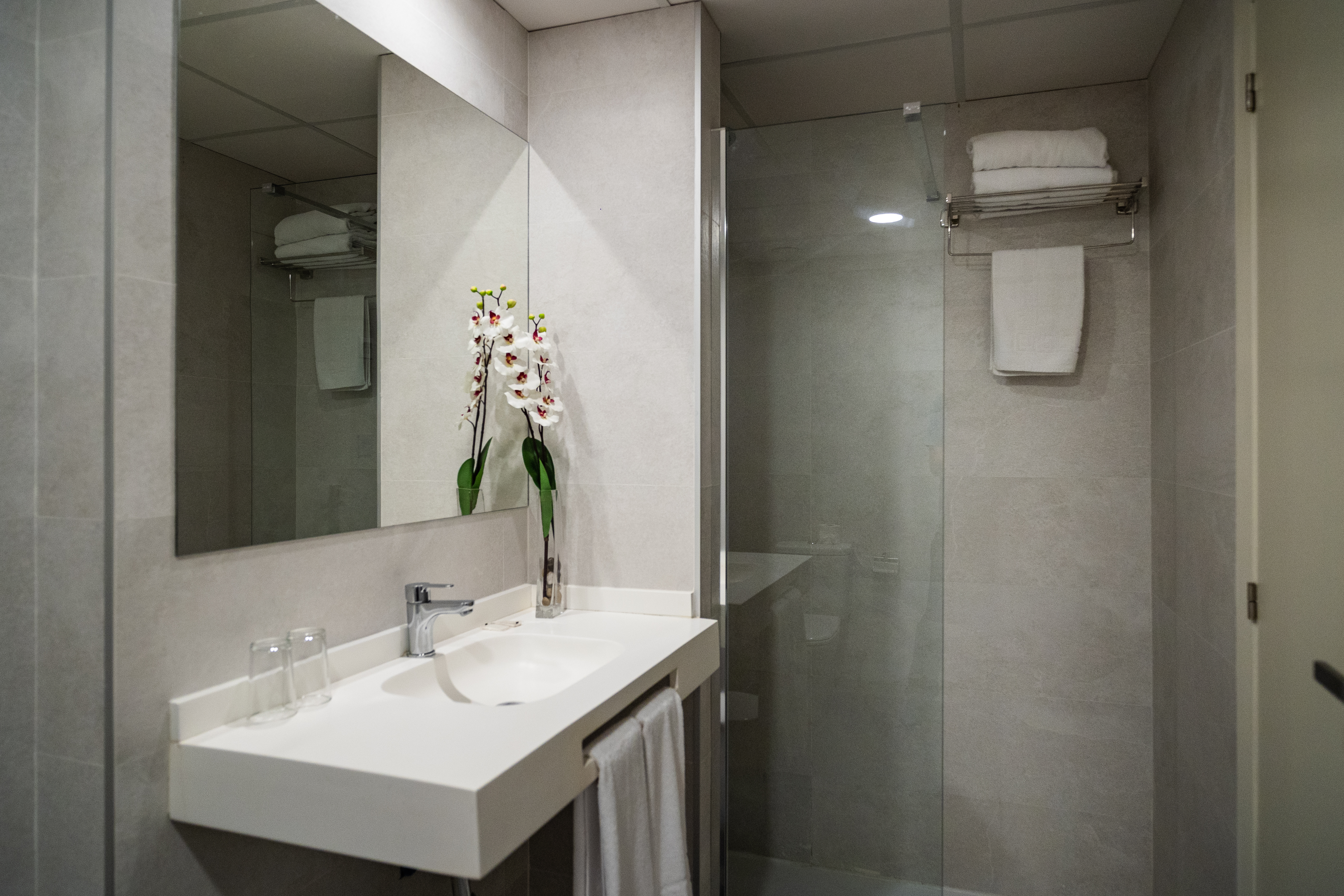 Double or Twin Standard