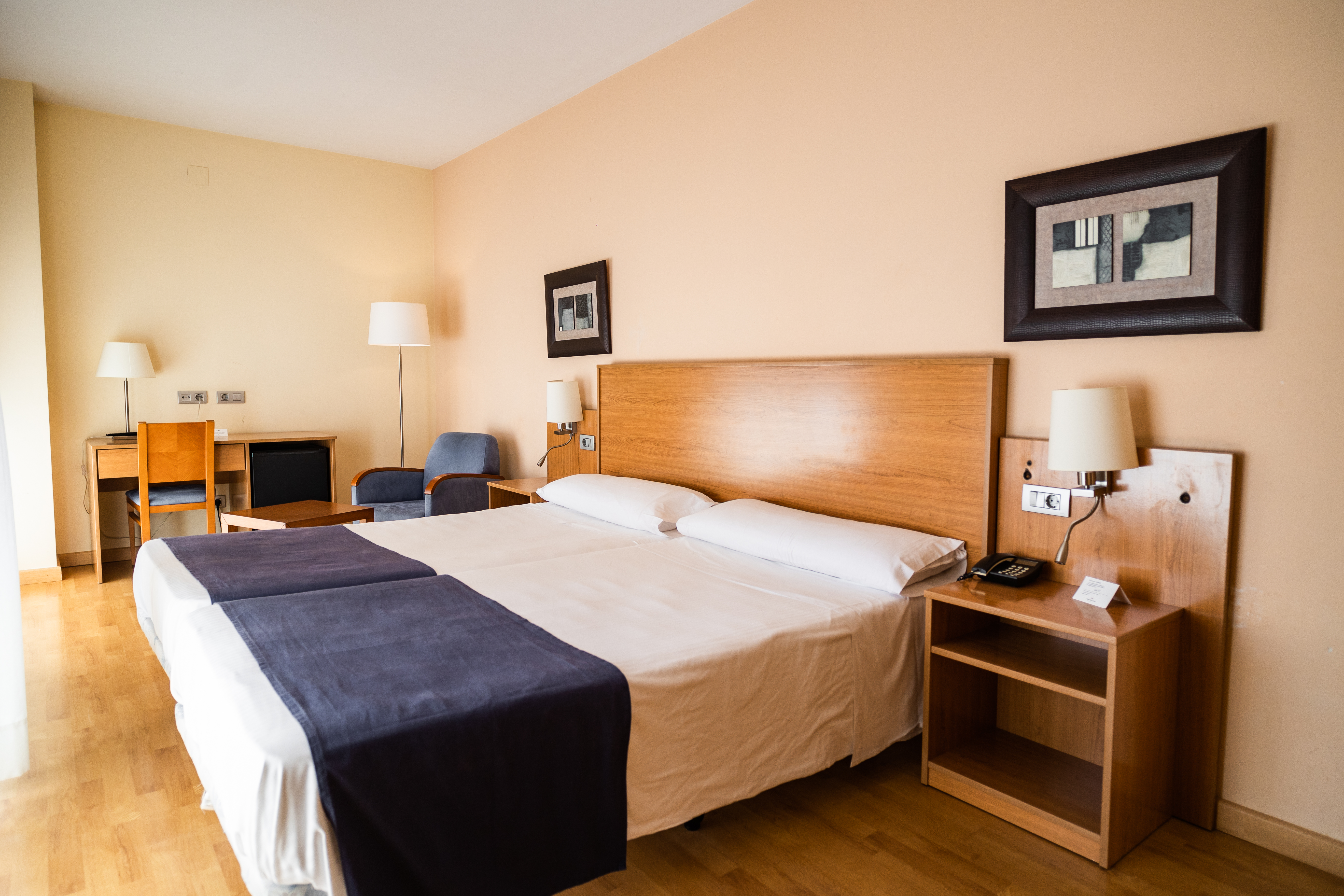 Double or Twin Capacity 3