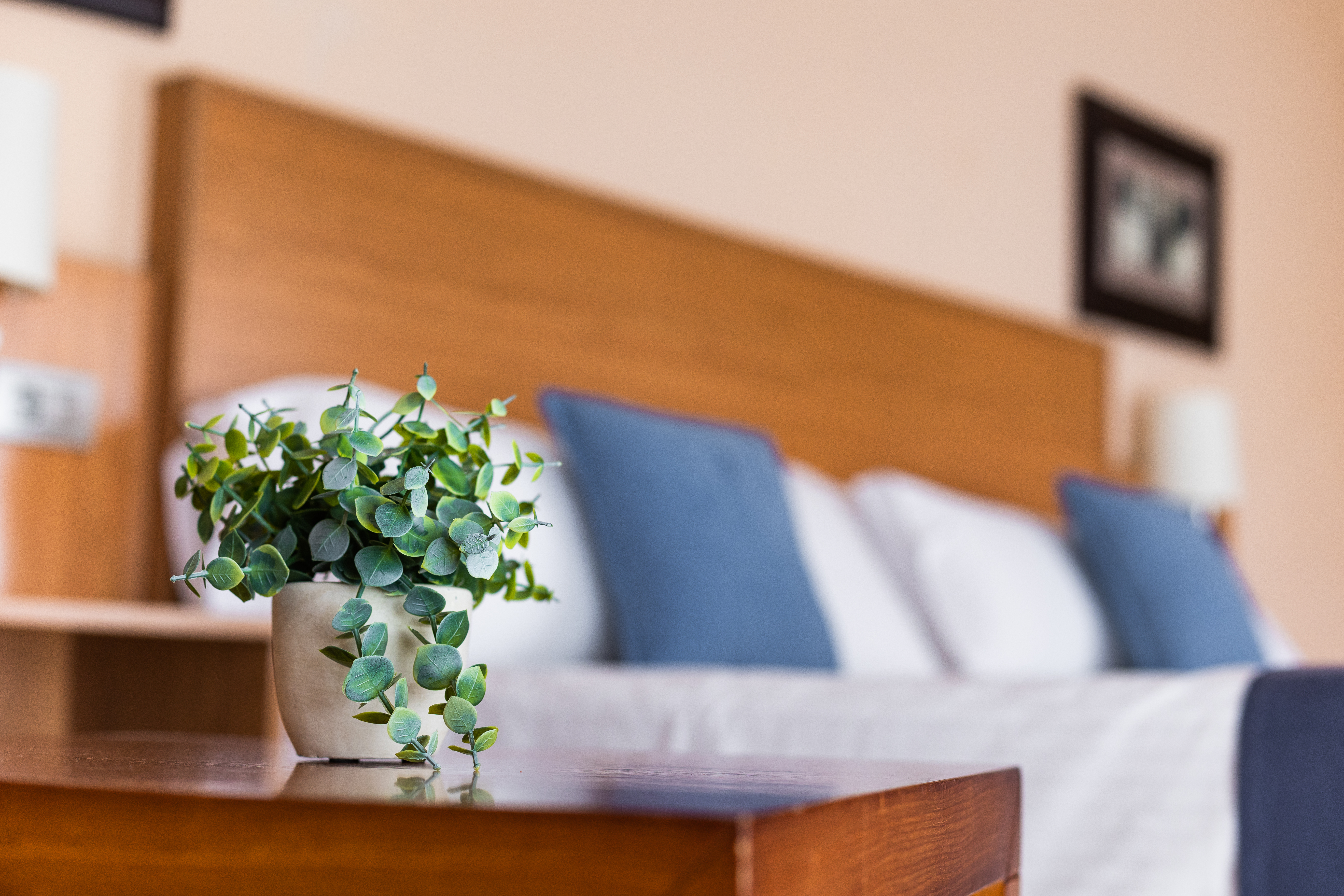 Double or Twin Capacity 3