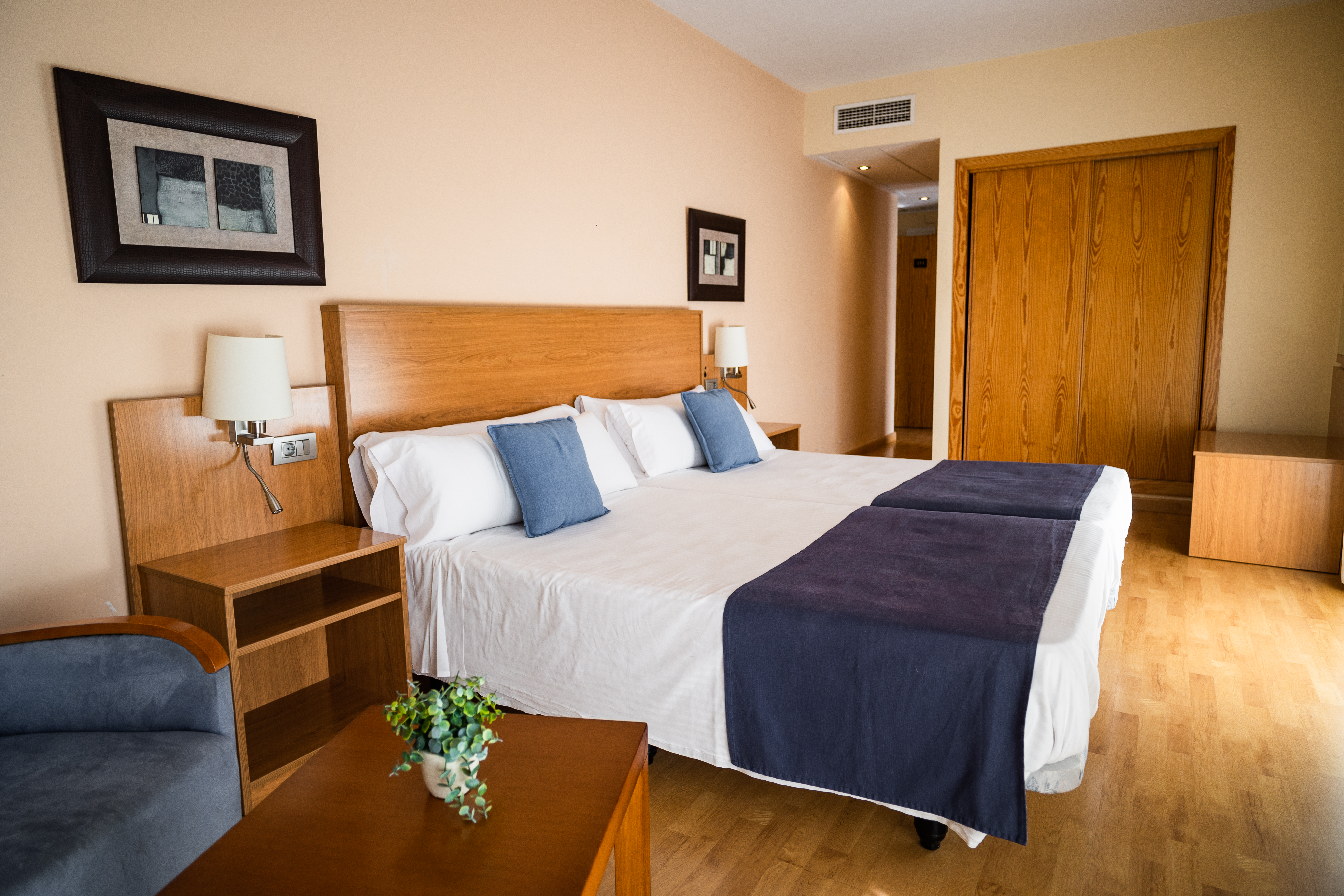 Double or Twin Capacity 3