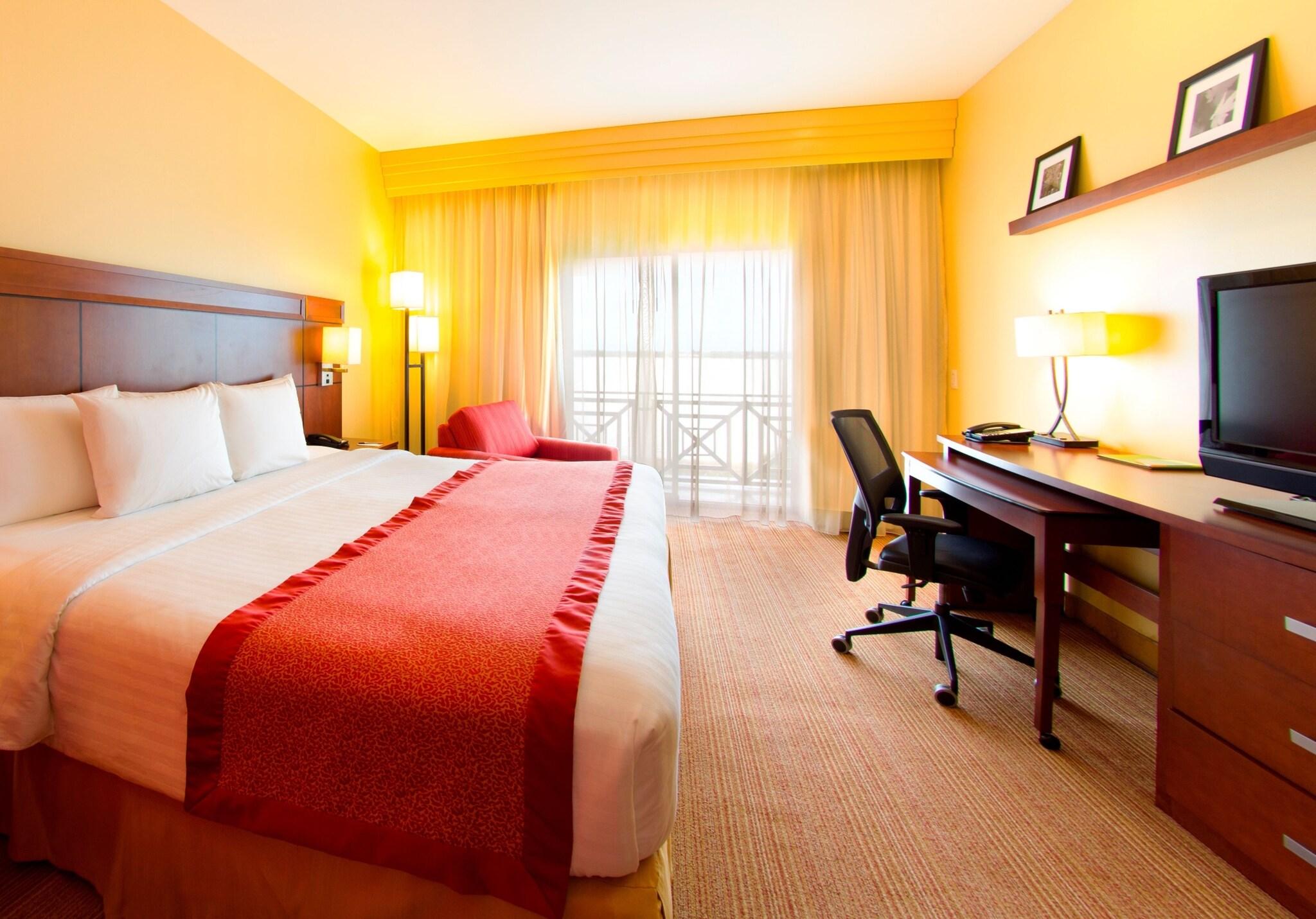 Suite King Bed One Bedroom 