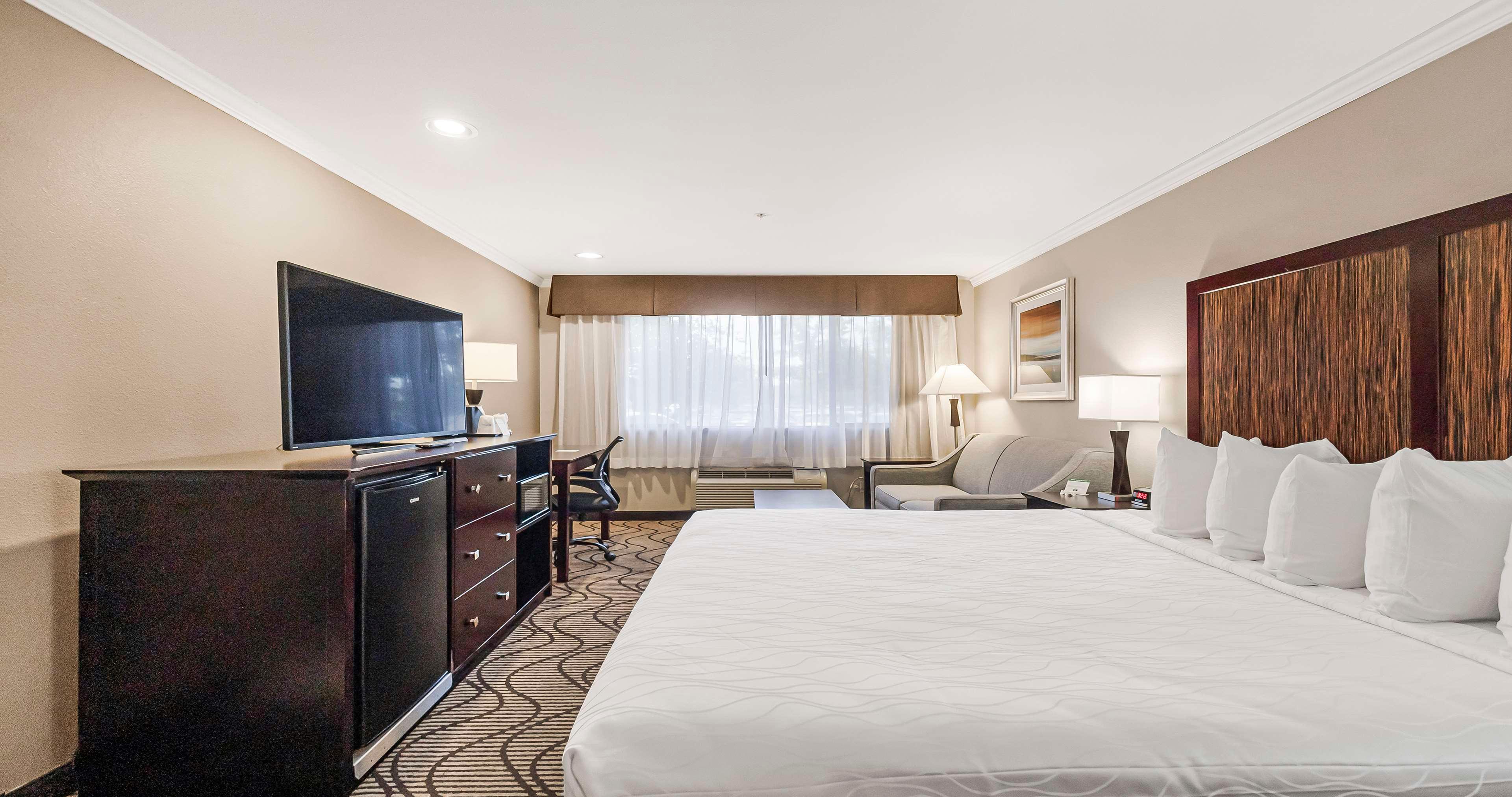 Suite Executive King Bed