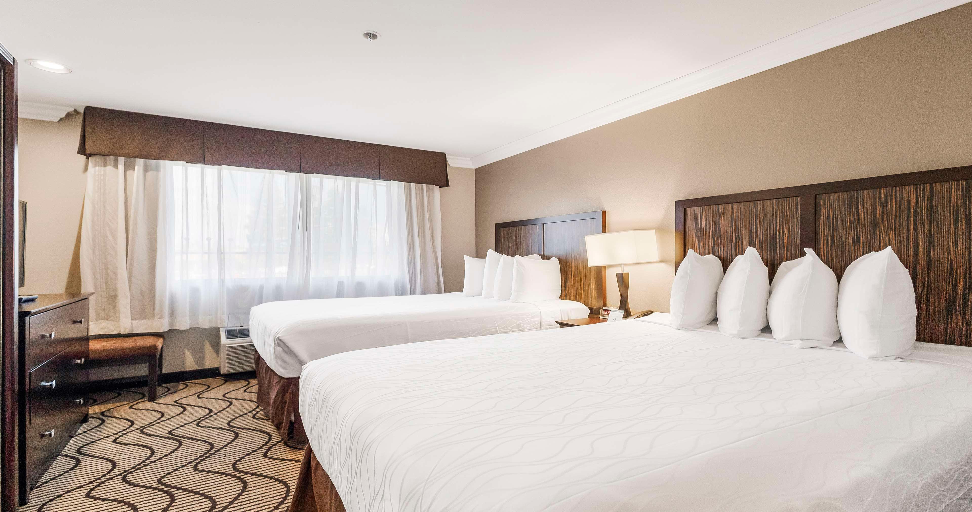 Suite Two Double Beds