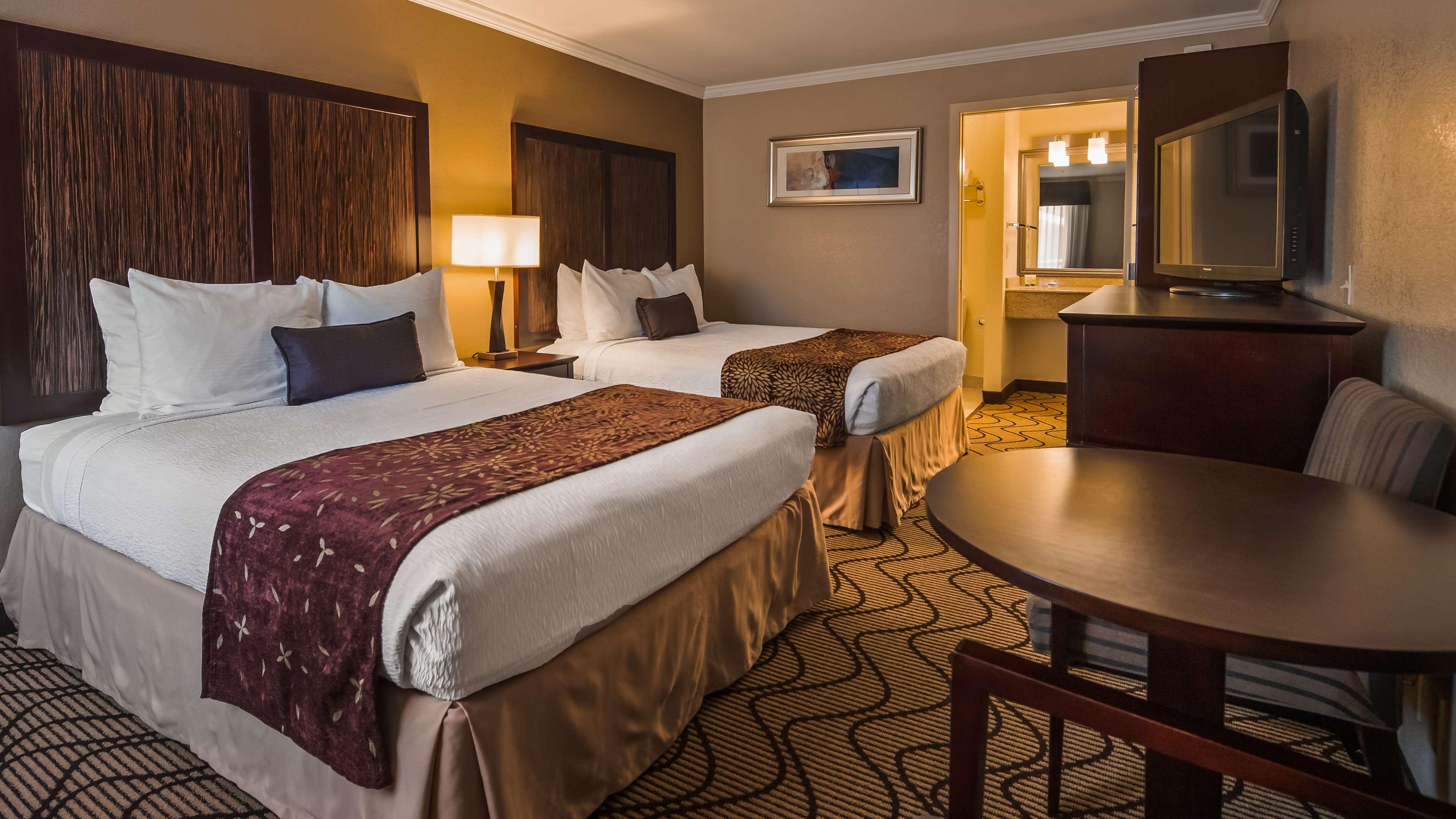 Studio Two Queen Beds