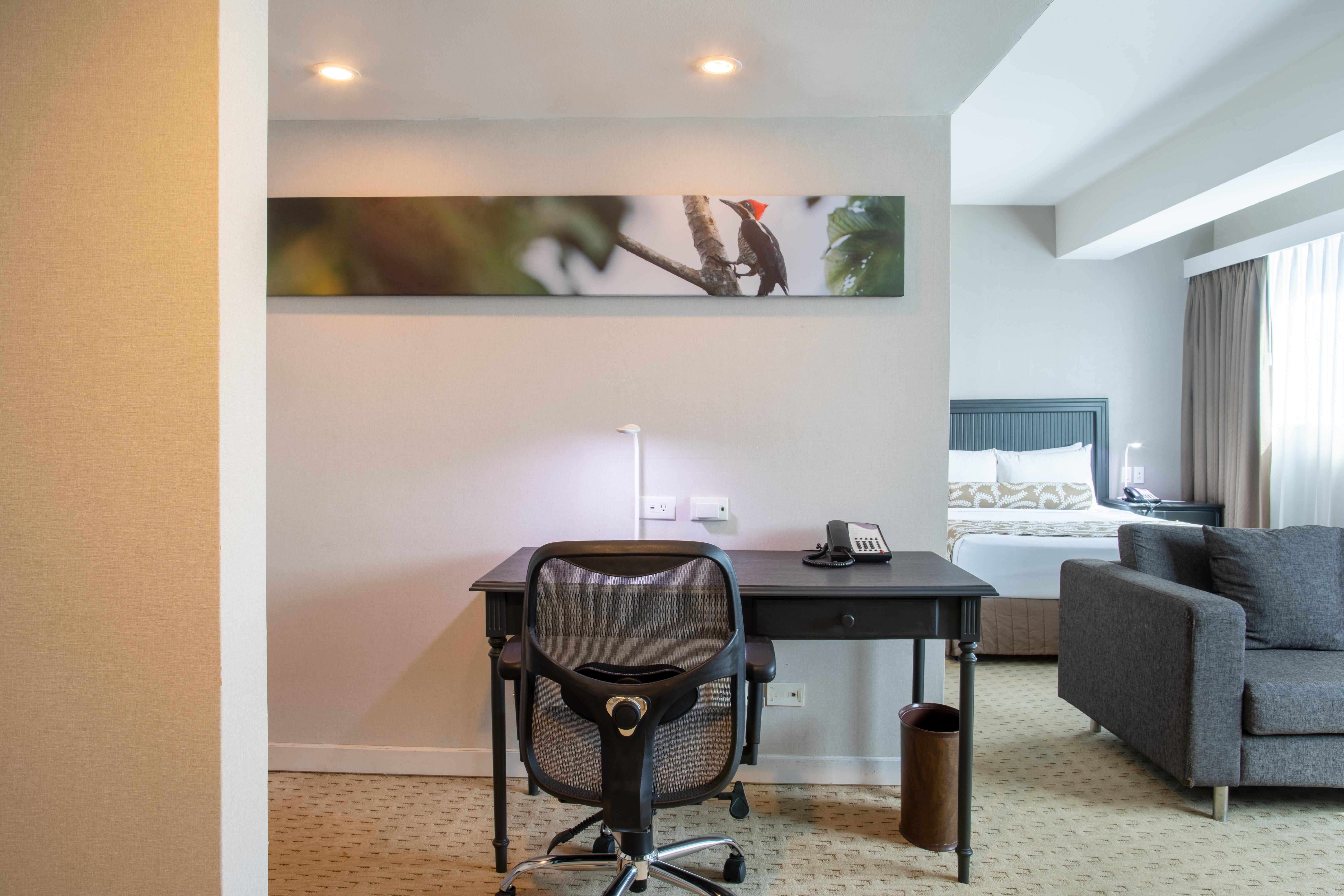 Junior Suite Queen Size Bed