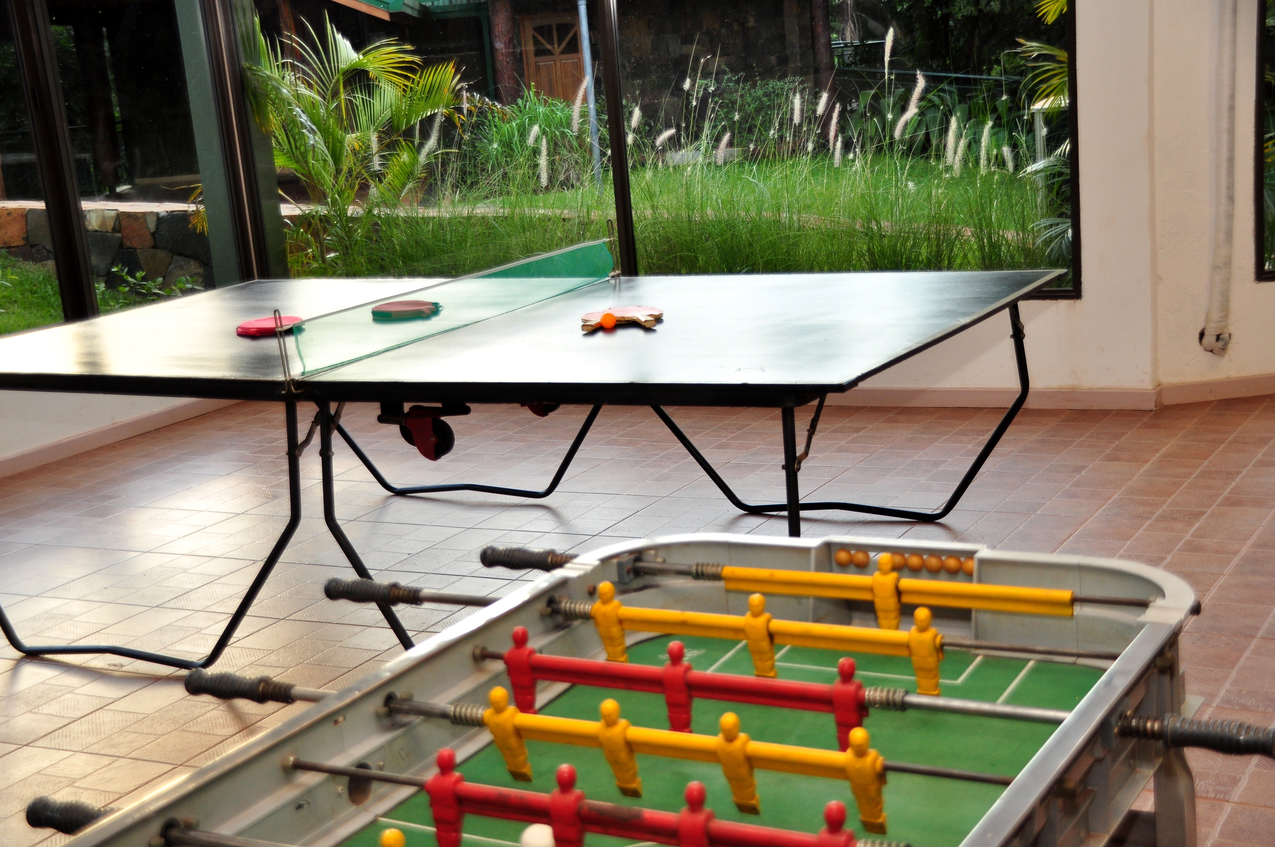 Sports and Entertainment