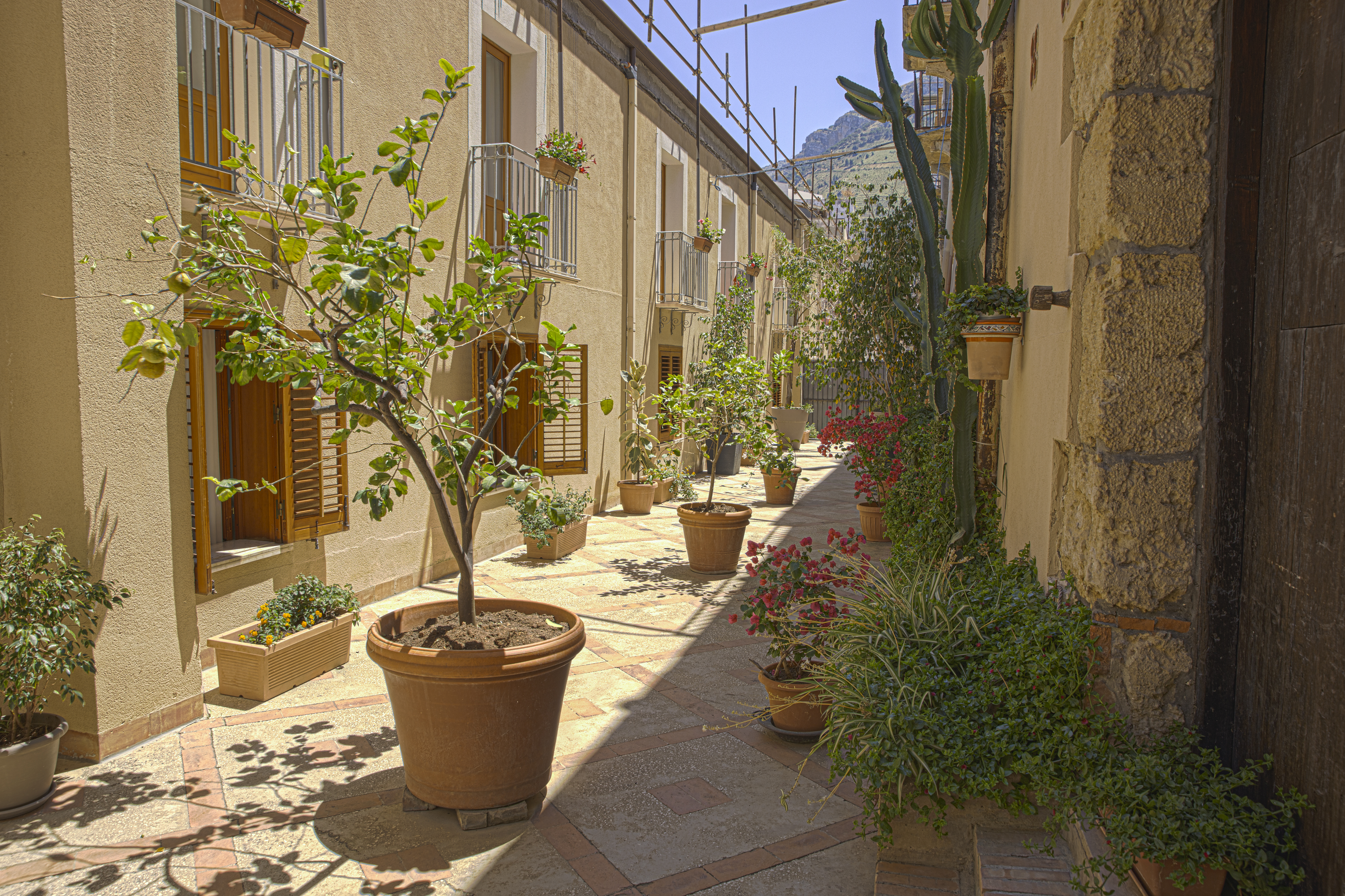 Double or Twin with Balcony