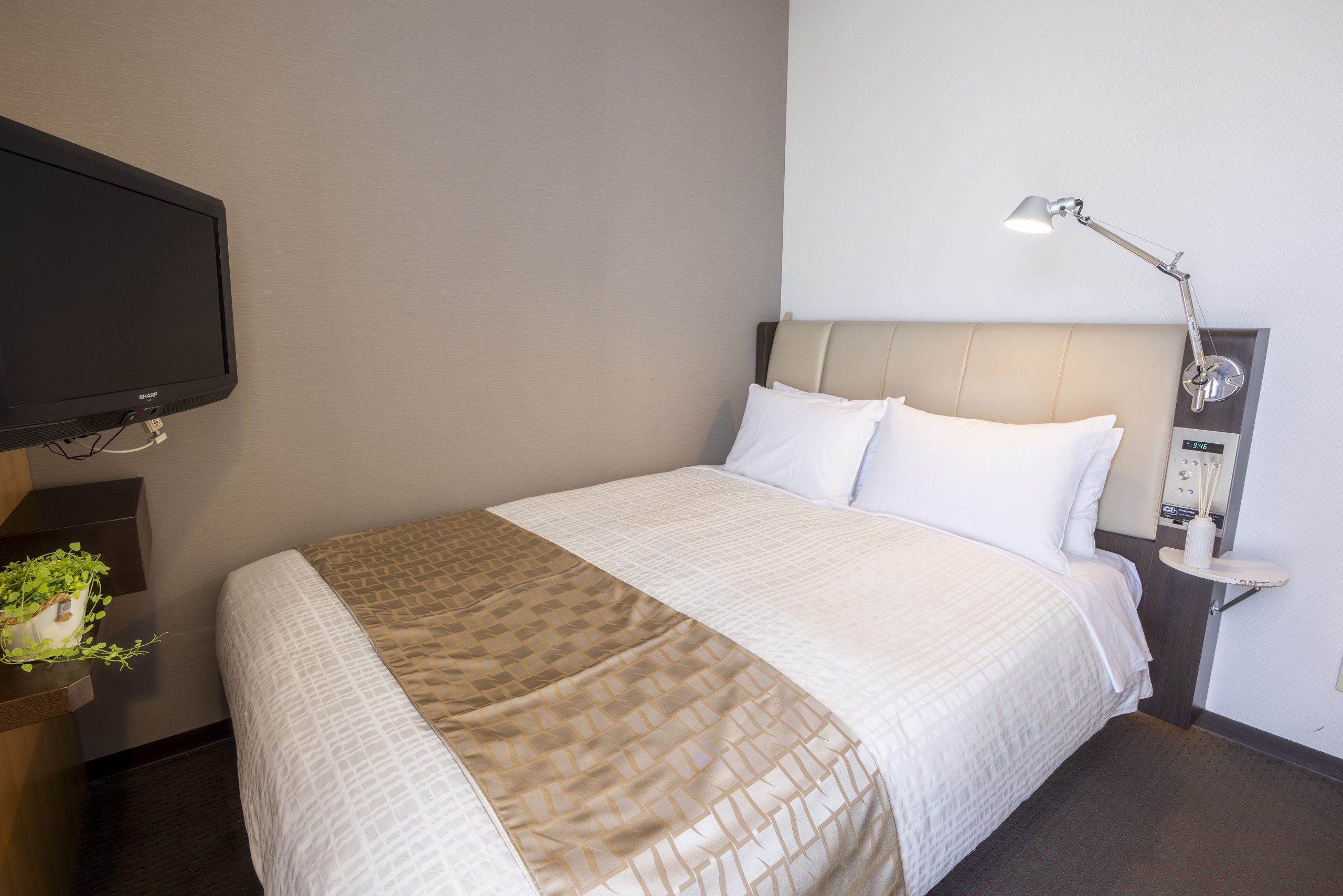 Double Single Standard