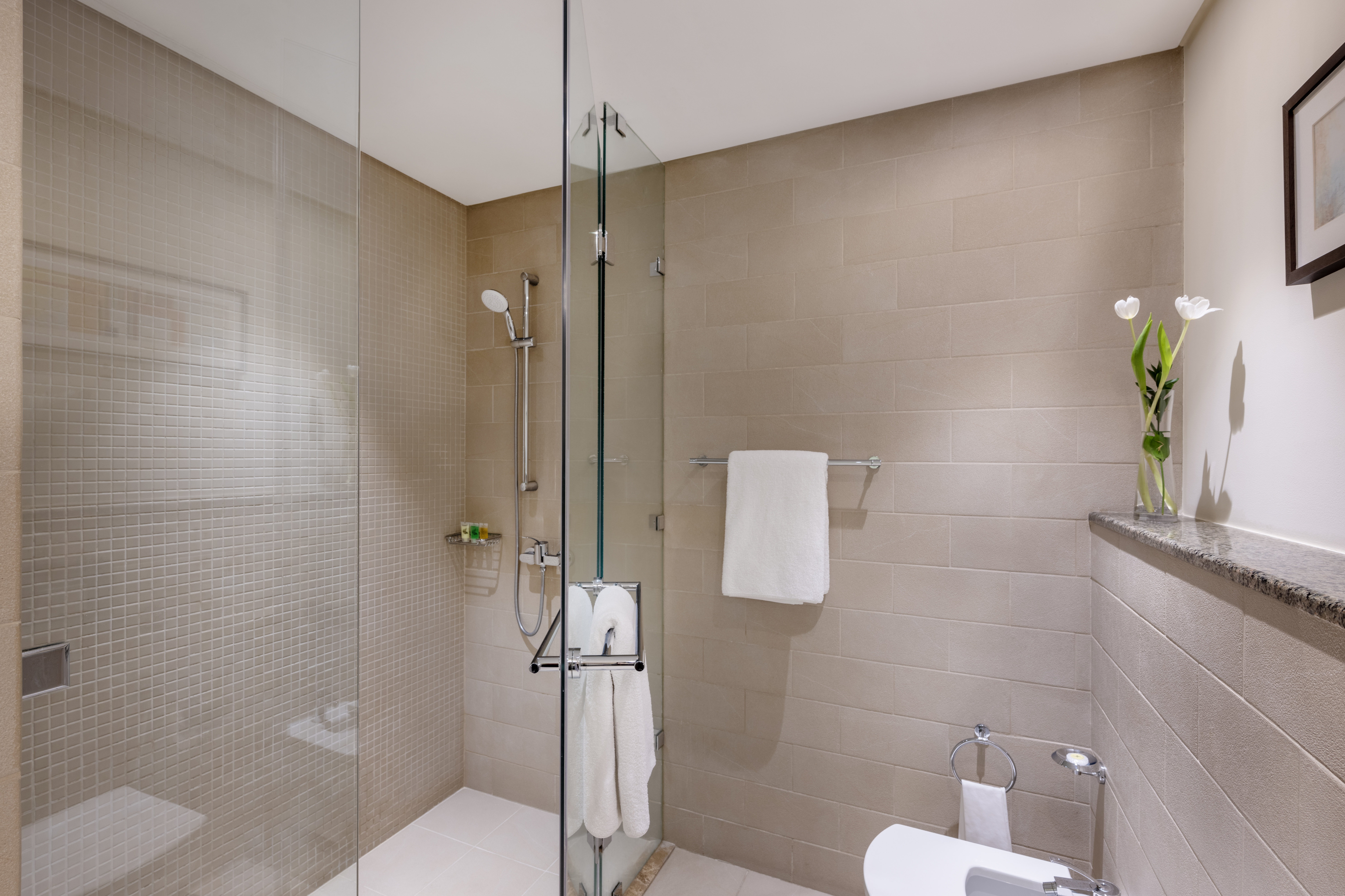 Apartment Executive One Bedroom