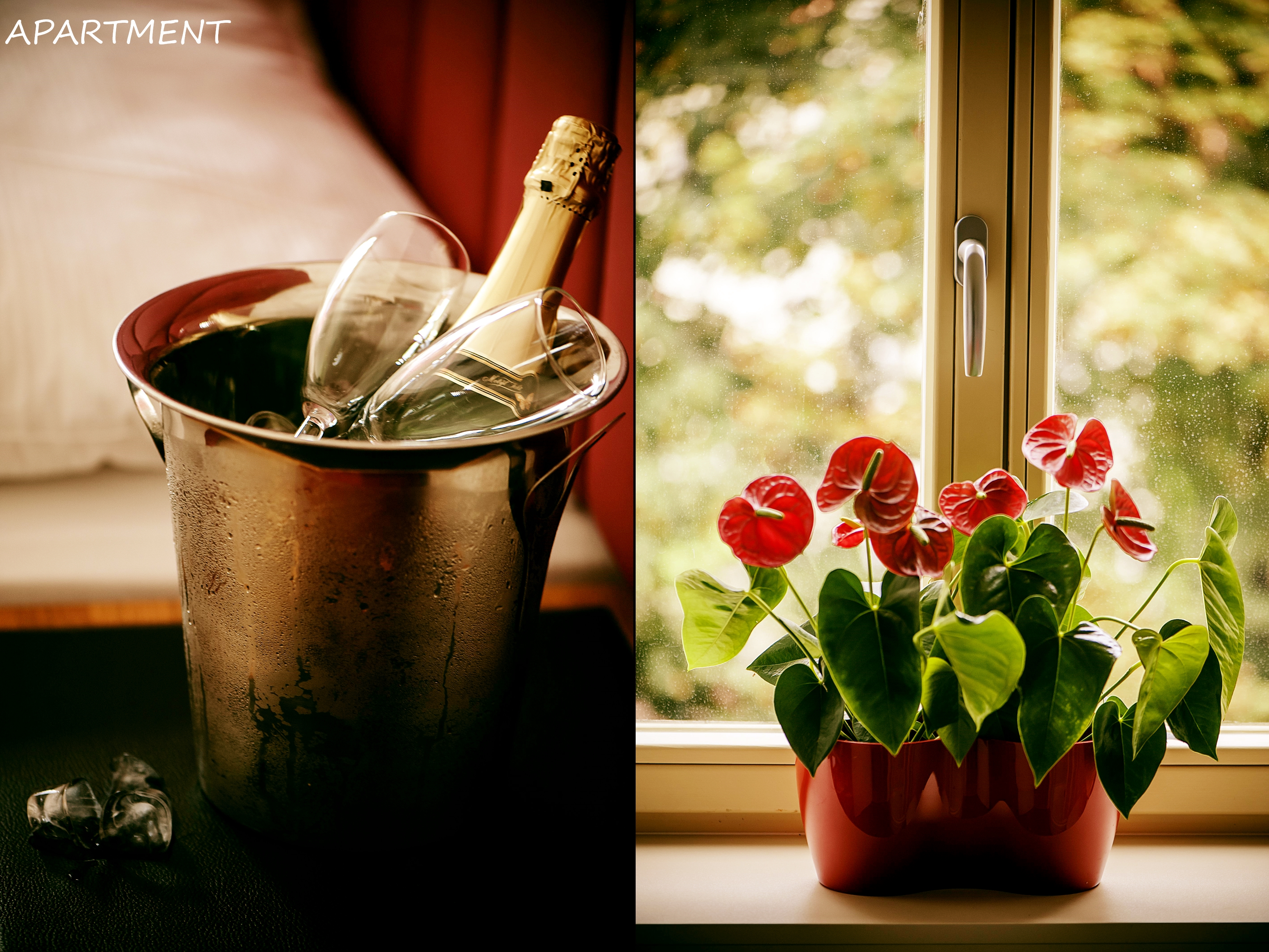 Apartment Capacity 2 One Bedroom