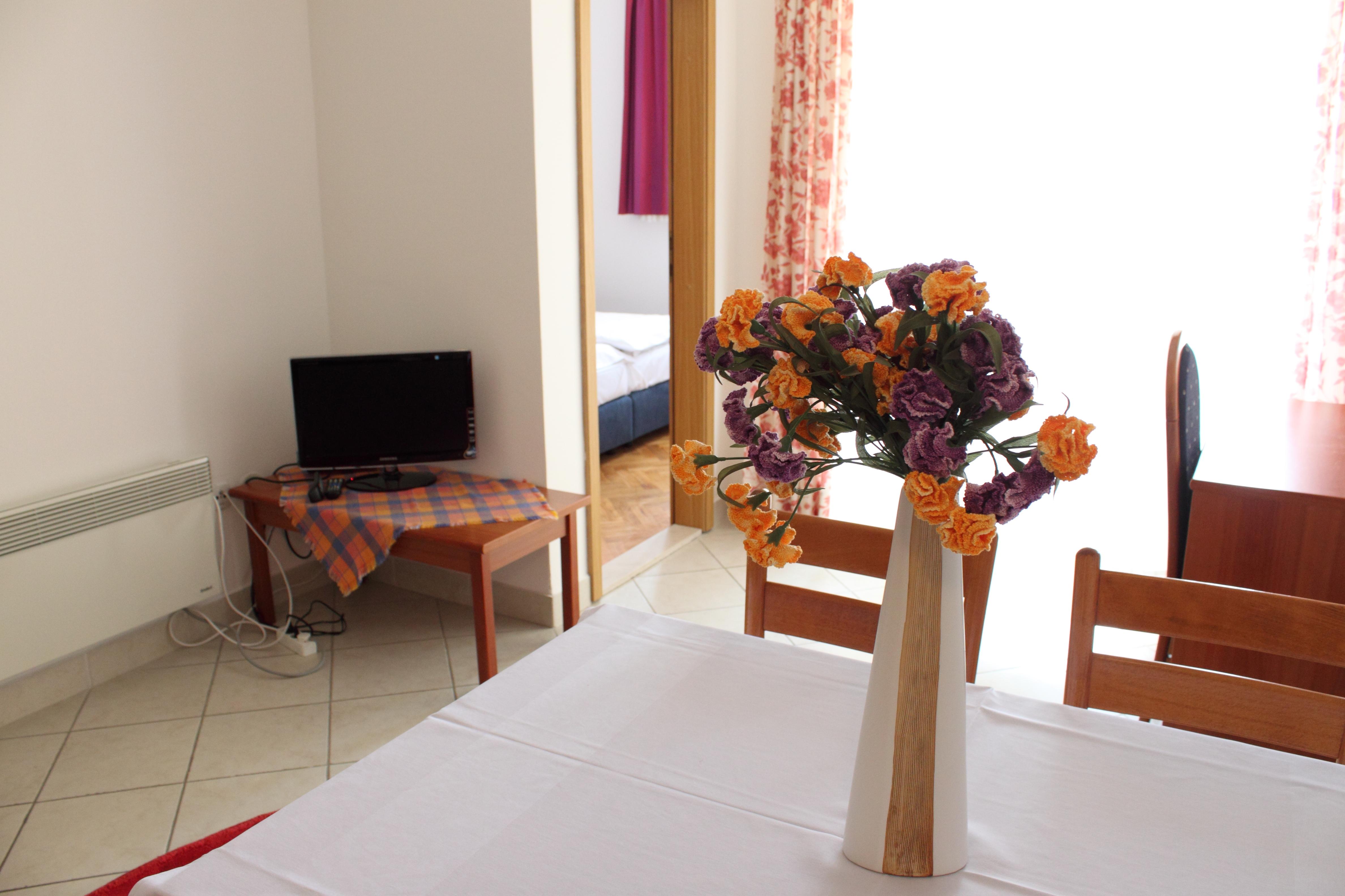 Apartment Capacity 4