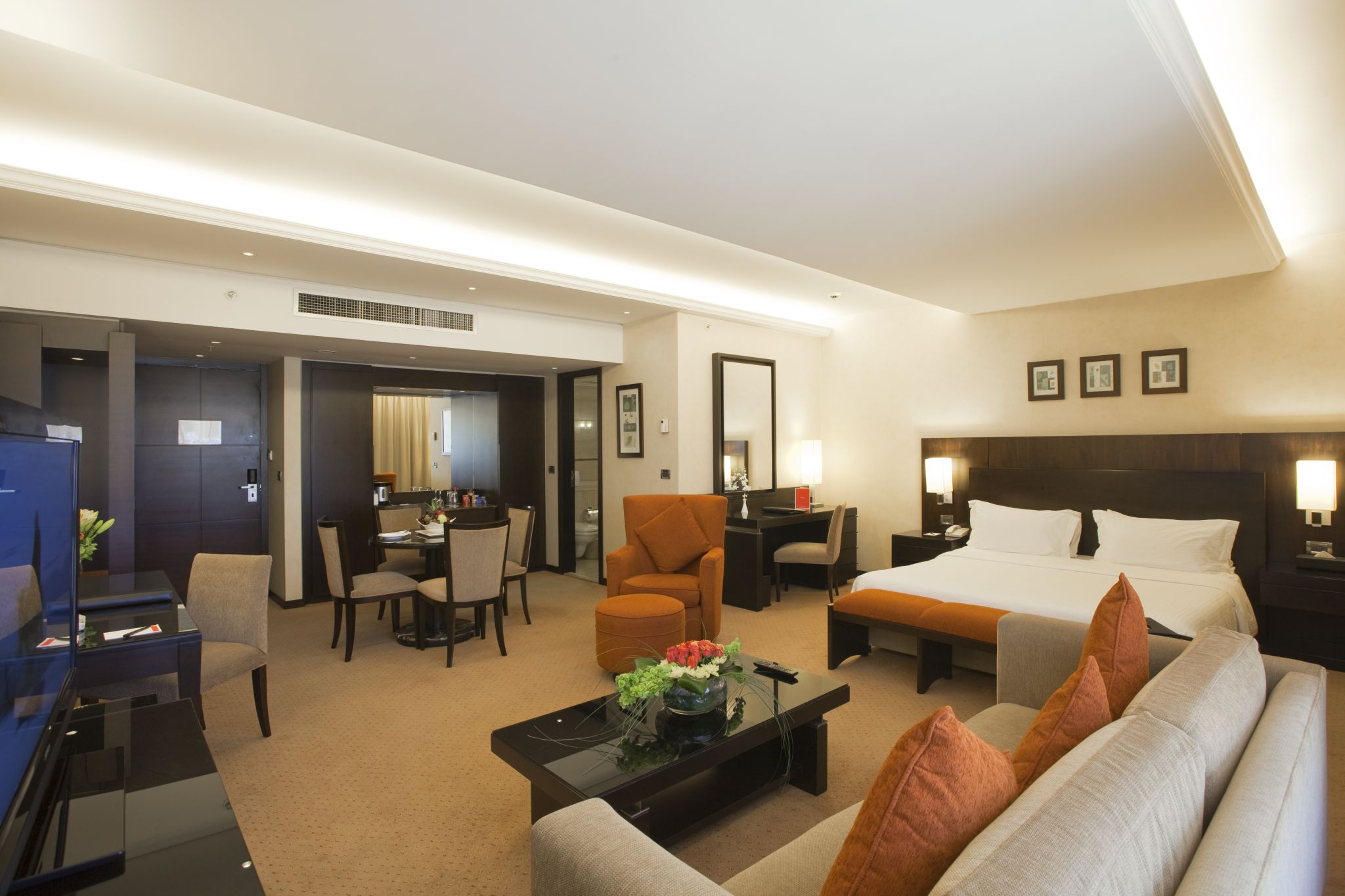 Suite King Bed Non Smoking