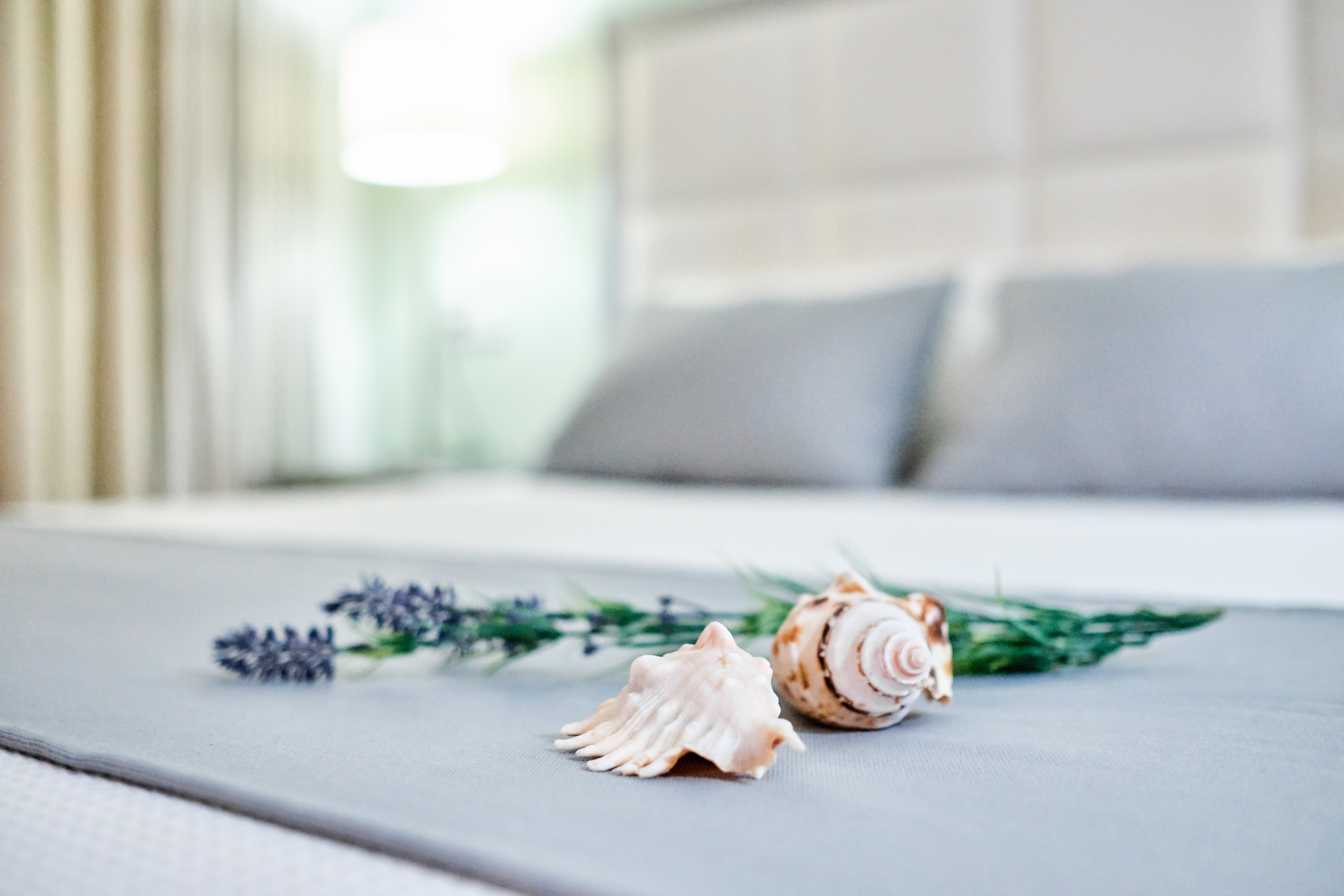 Studio Superior Capacity 3