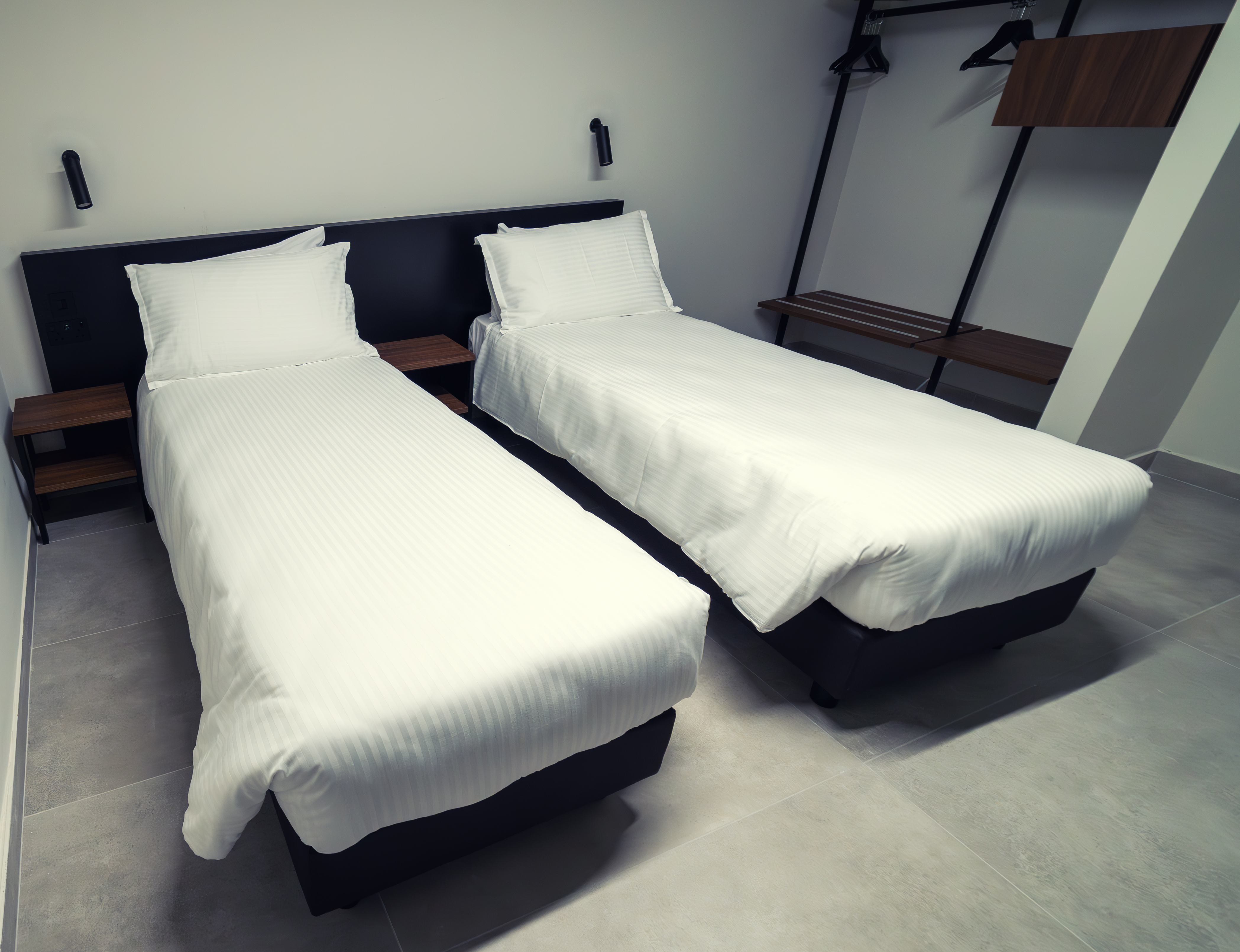 Double or Twin Economy