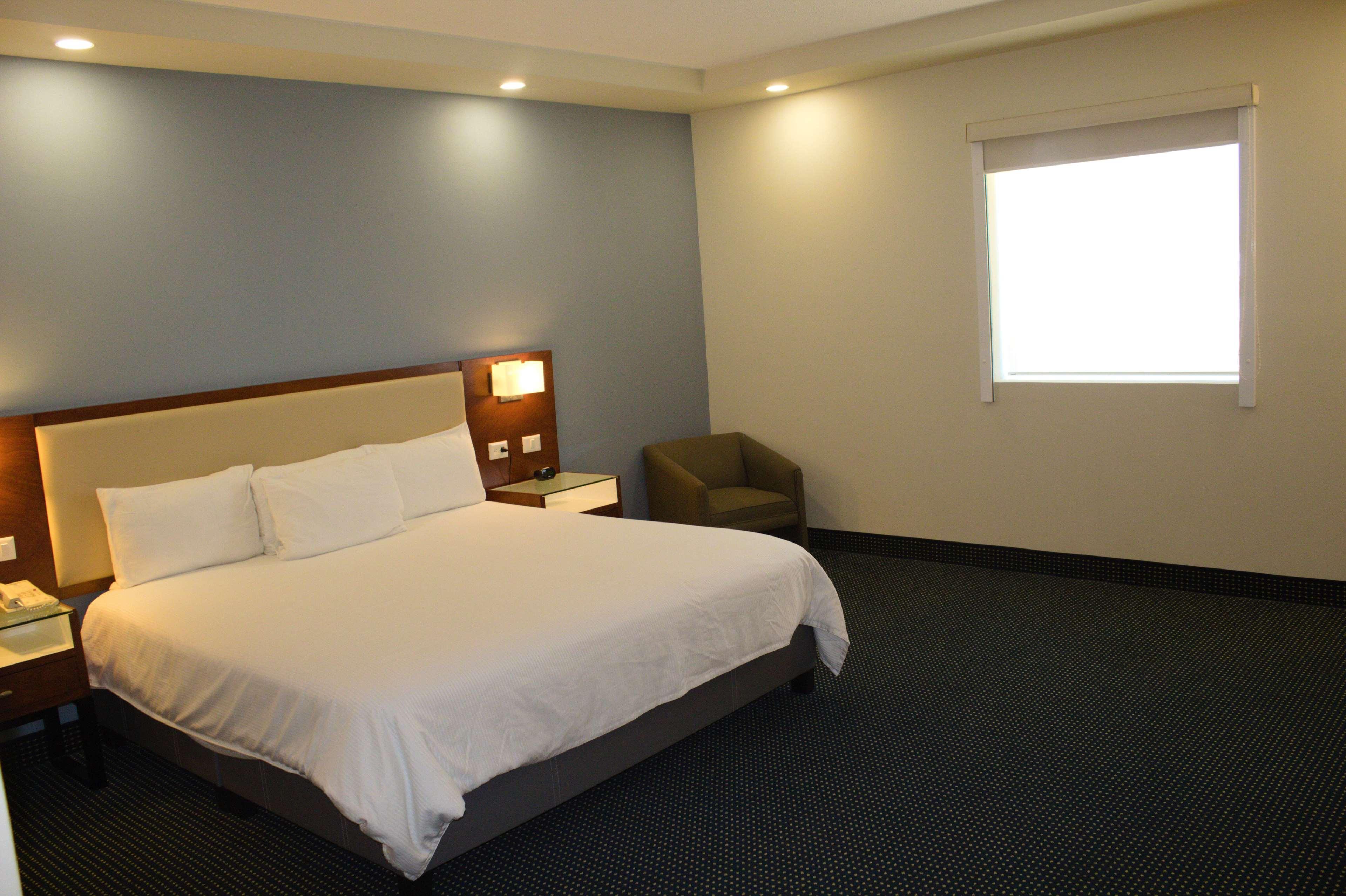 Suite King Bed Non Smoking