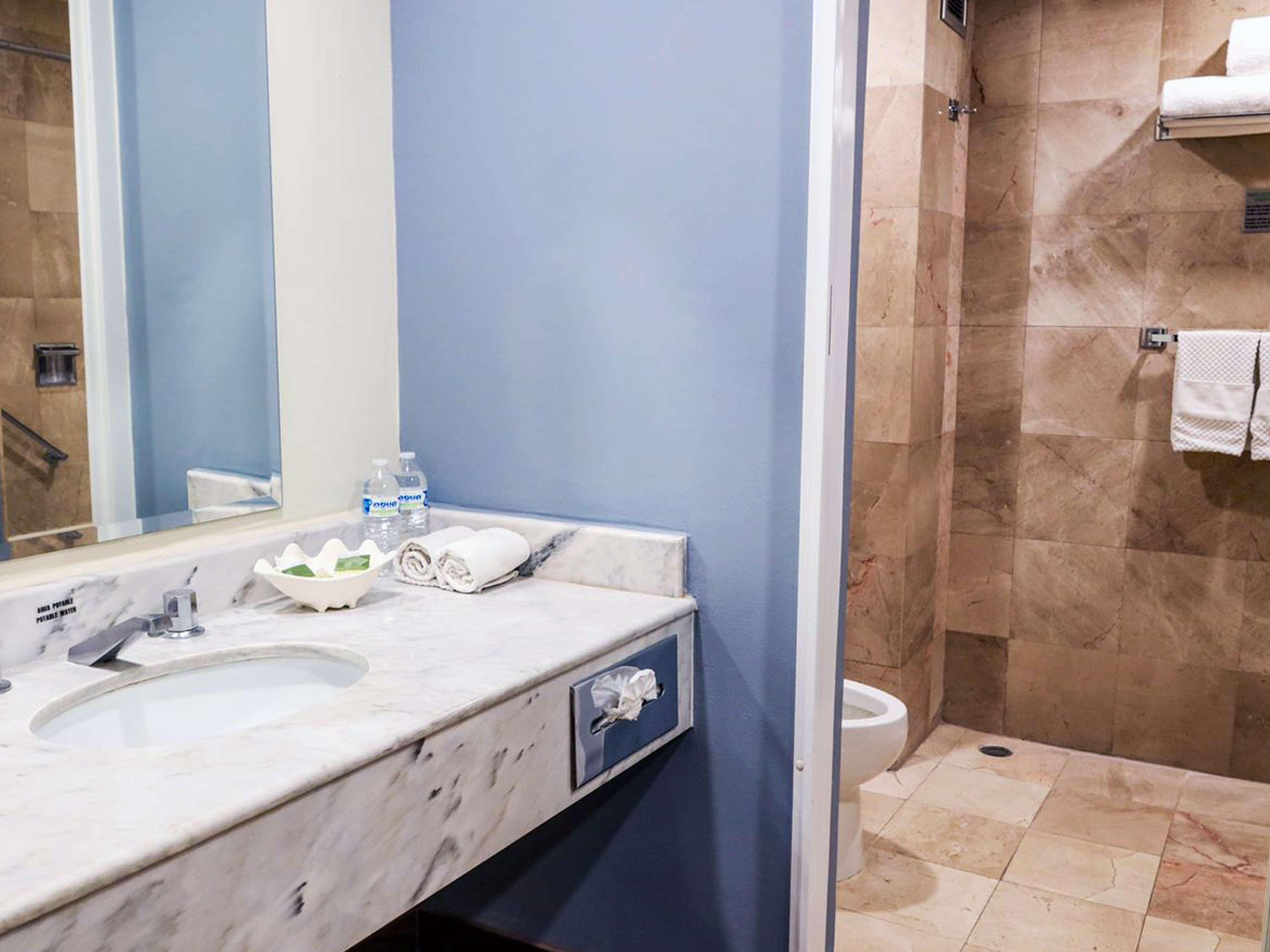 Suite King Bed Non Smoking