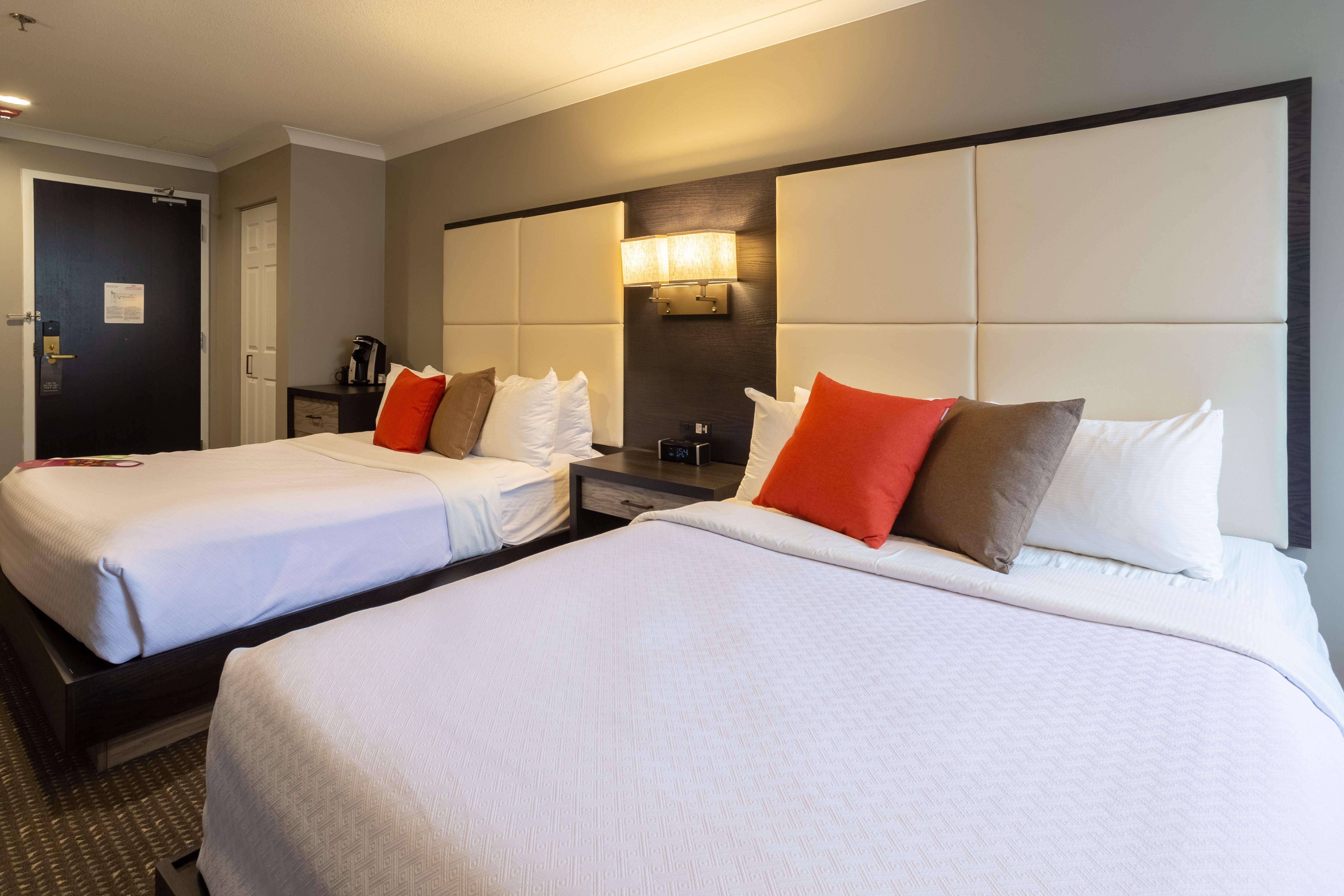 Double Two Queen Beds Premium