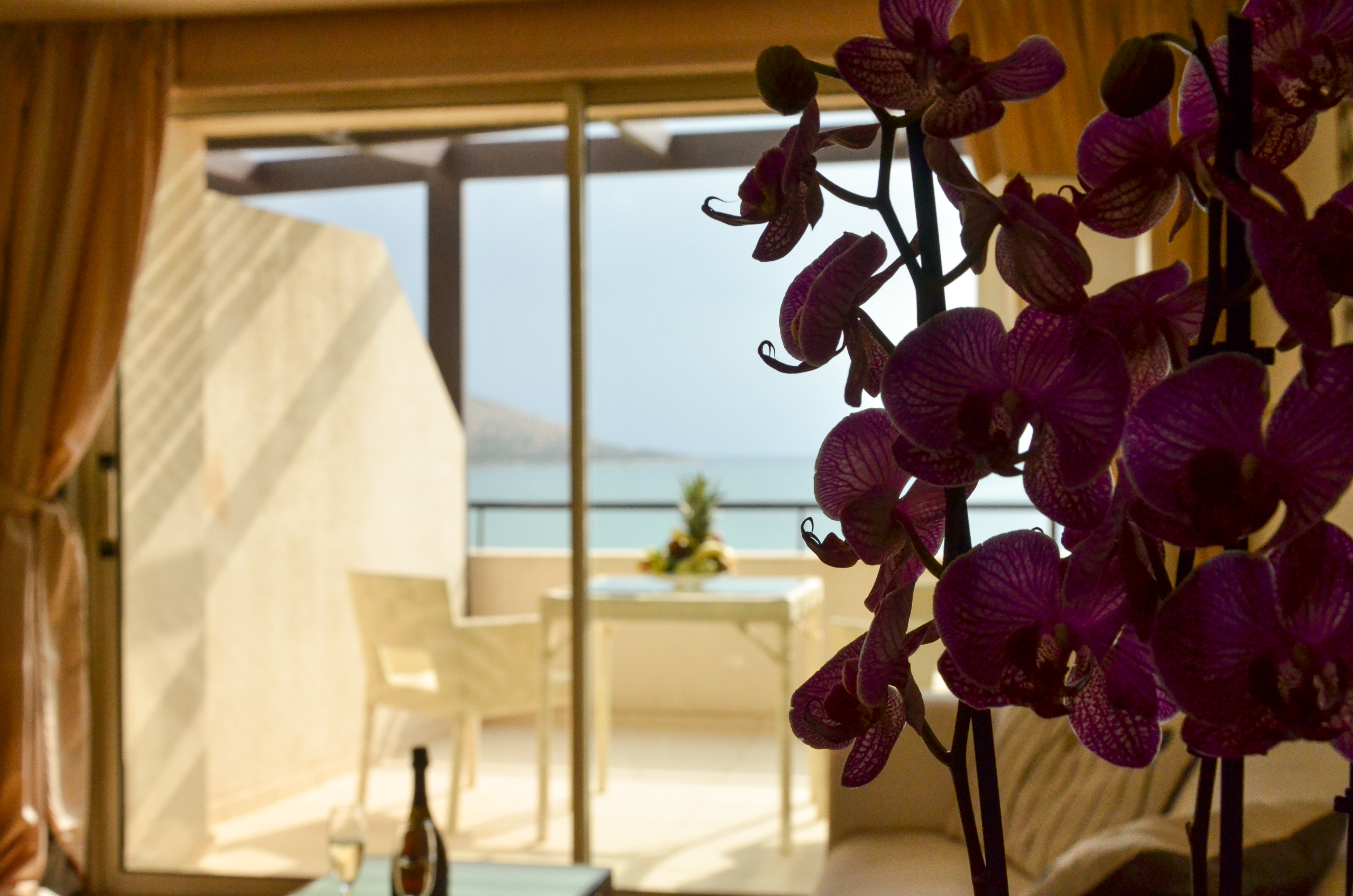 Family Room Sea View