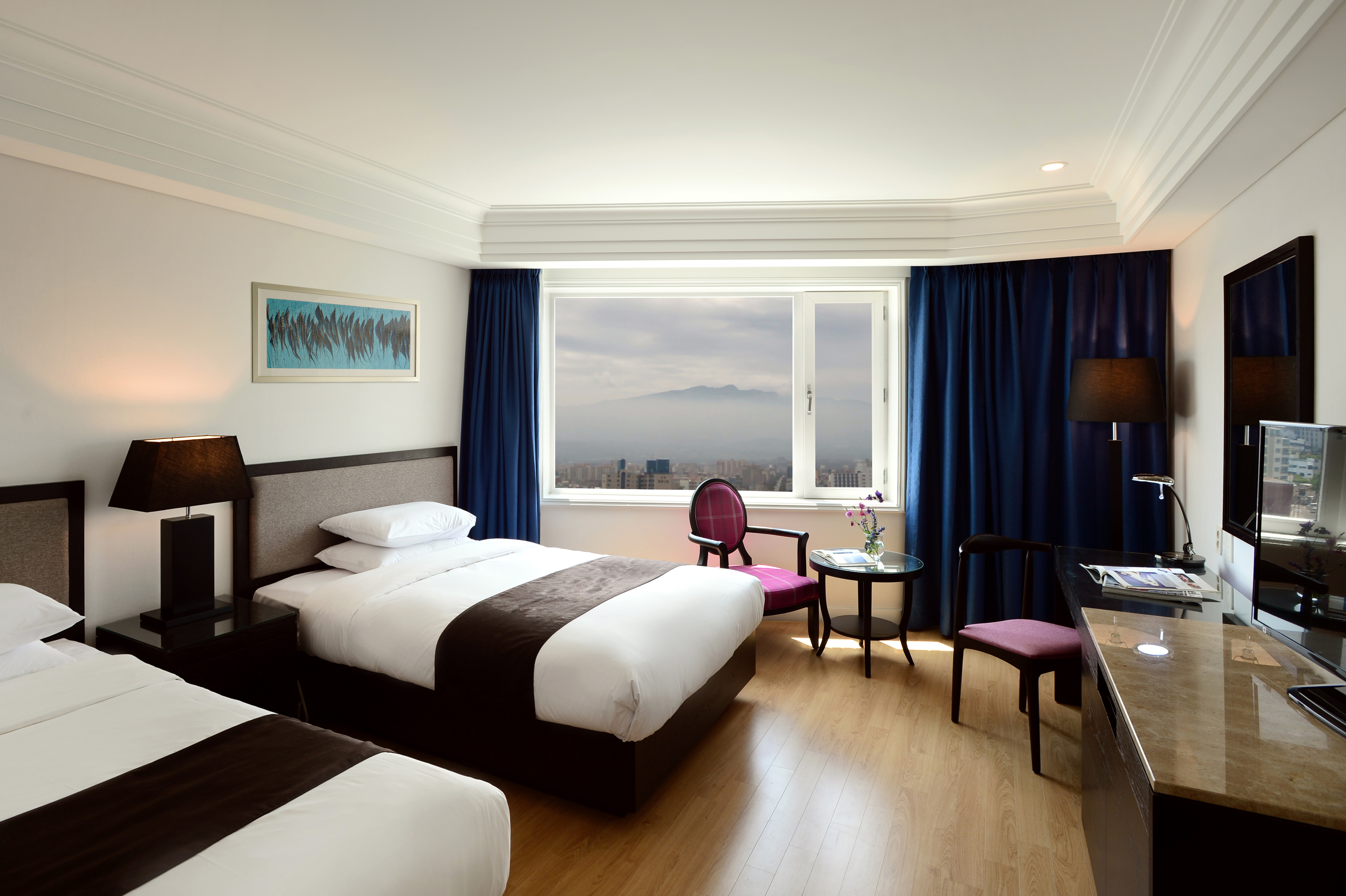 Twin Deluxe Mountain View