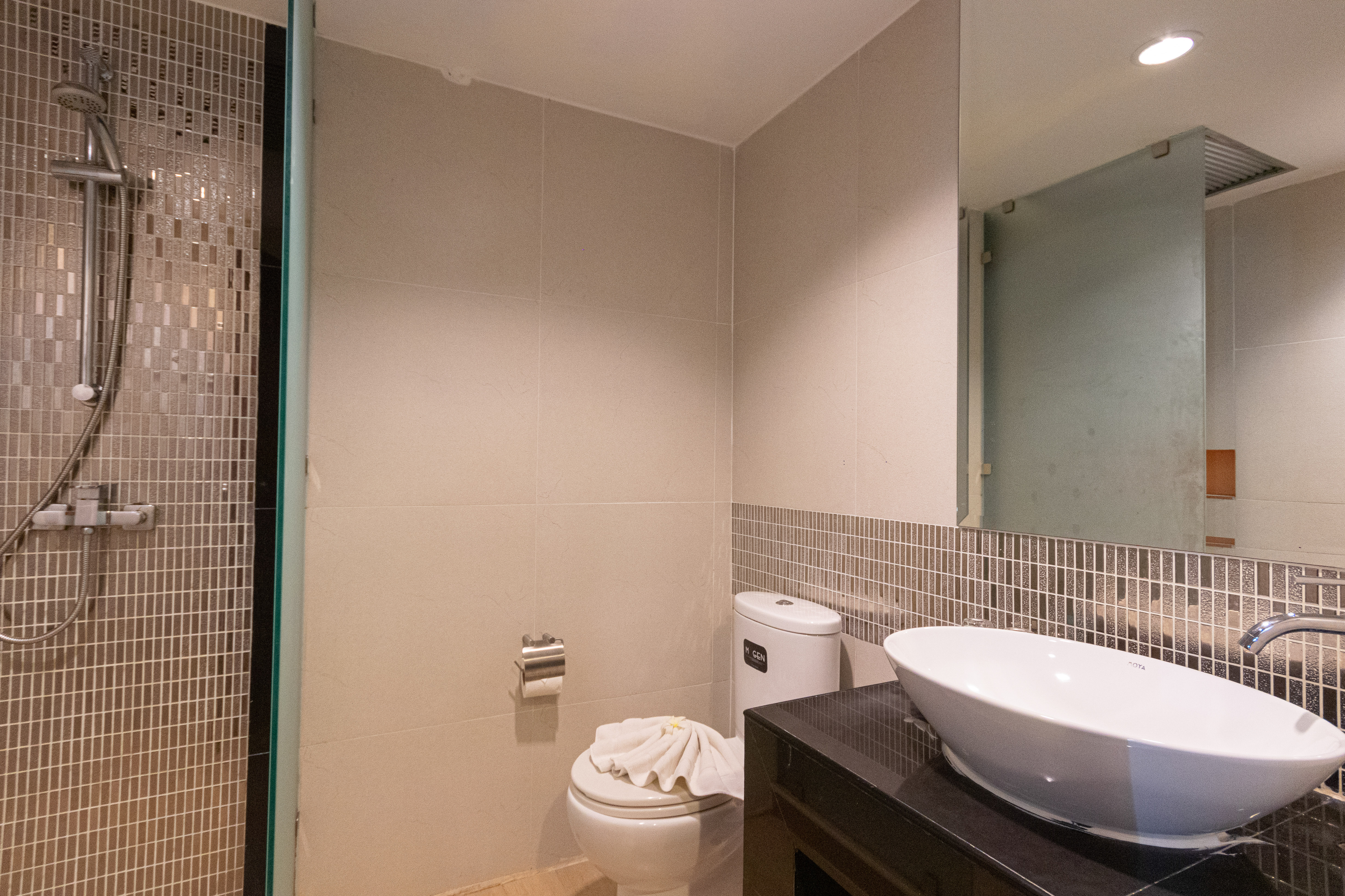 Double or Twin Superior