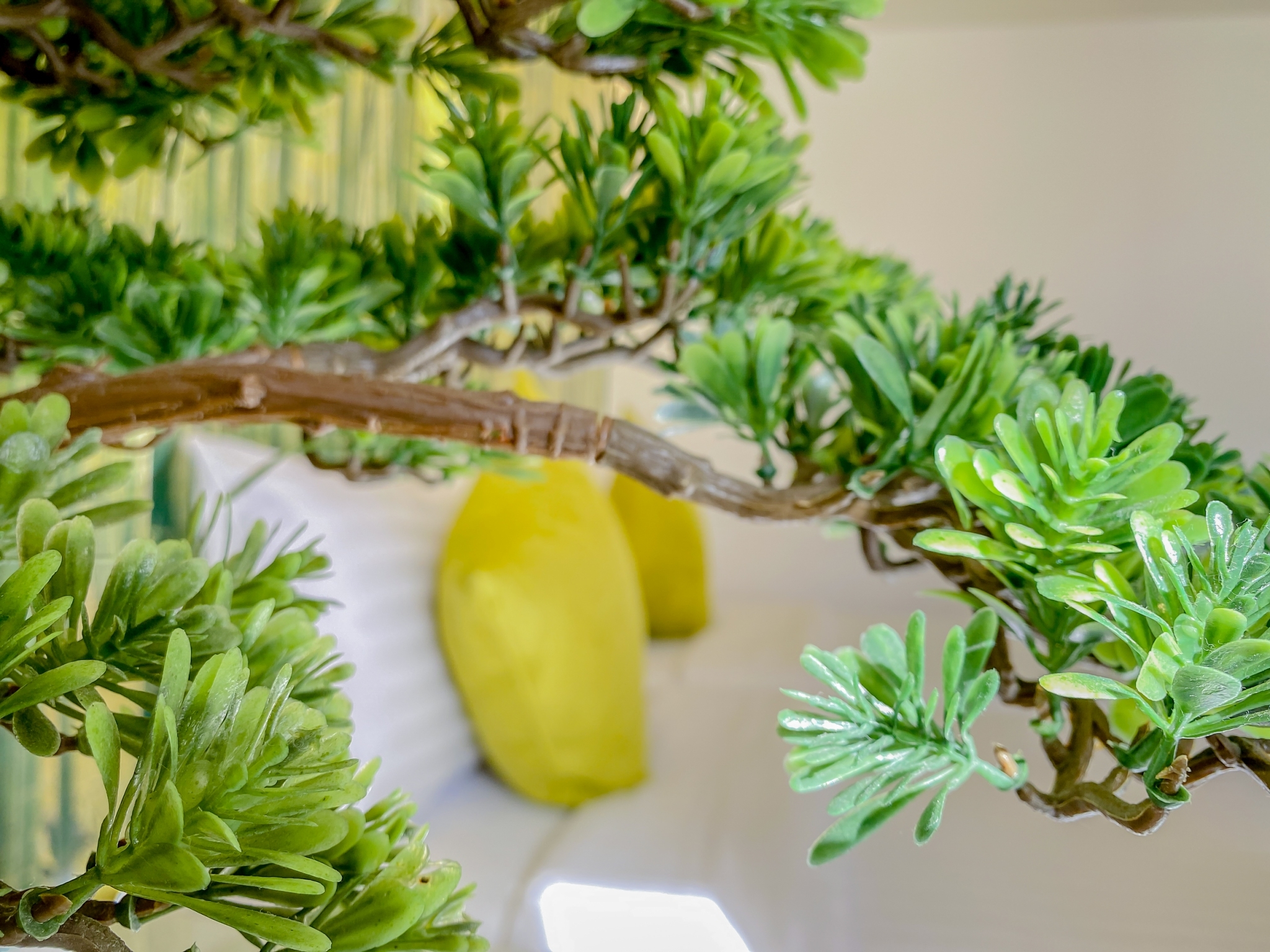 Double or Twin Deluxe Executive