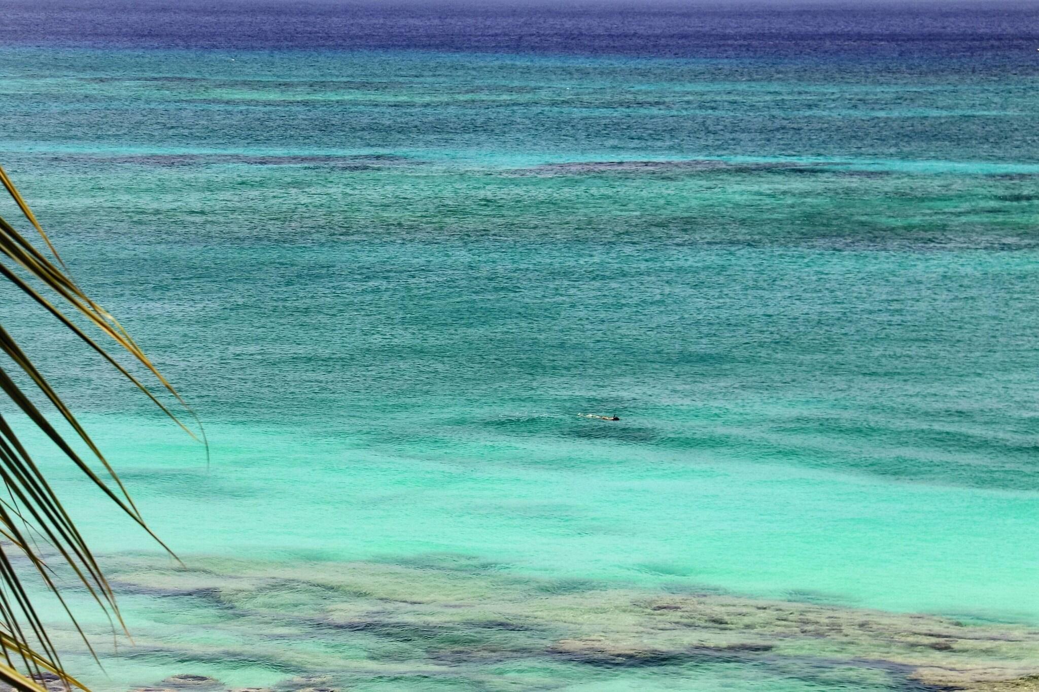 Junior Suite Two Double Beds Non Smoking