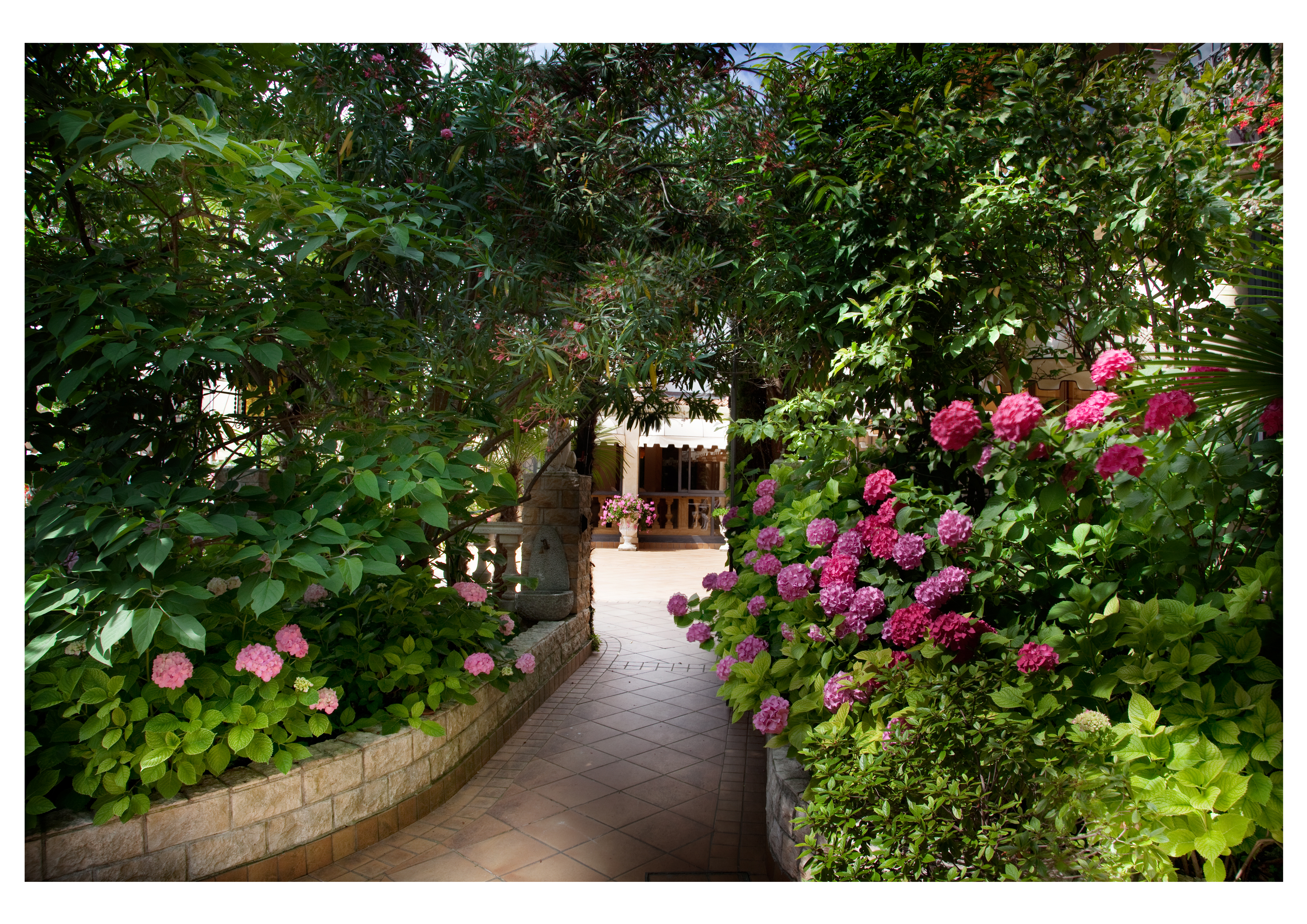 Sports and Entertainment