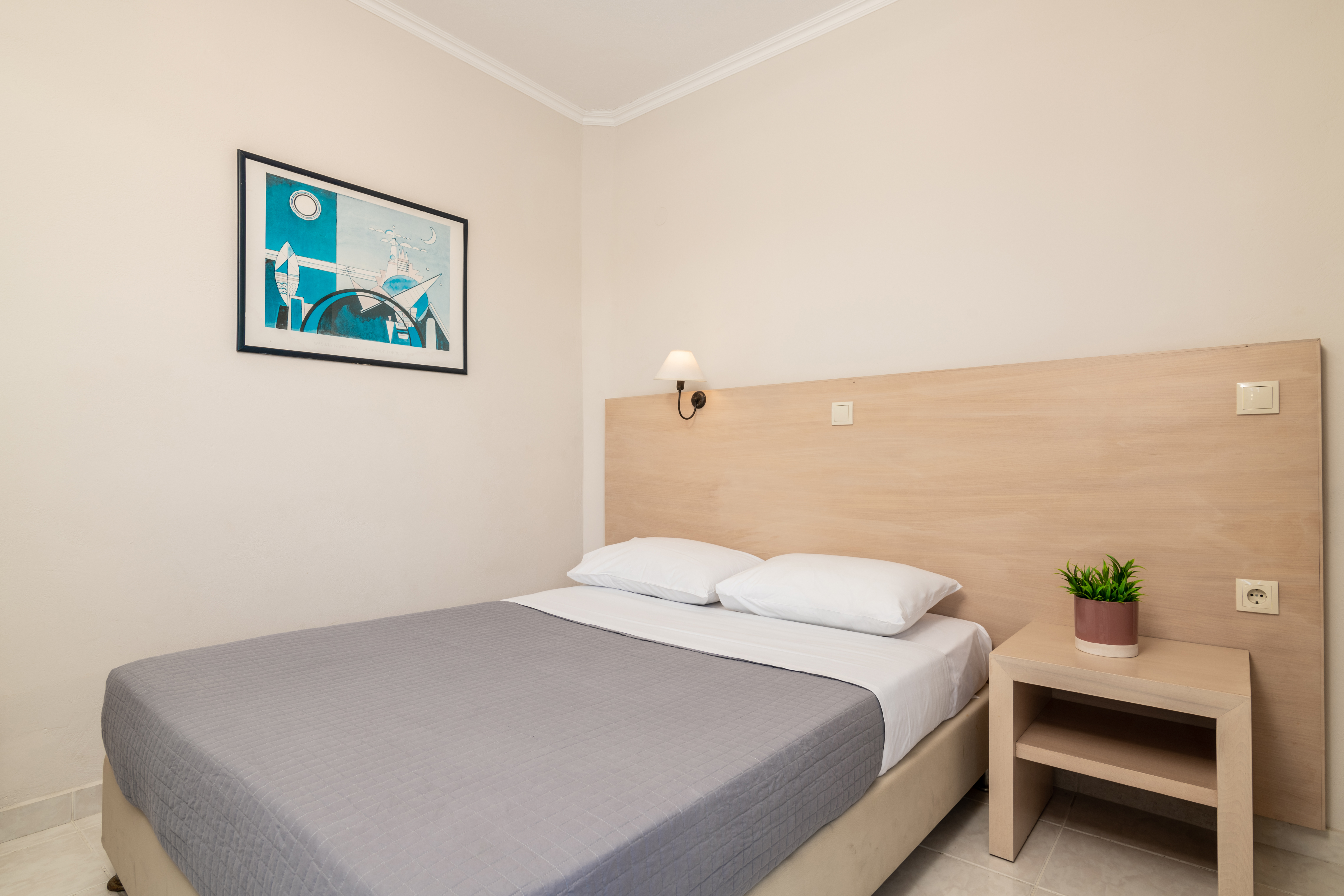 Suite Standard