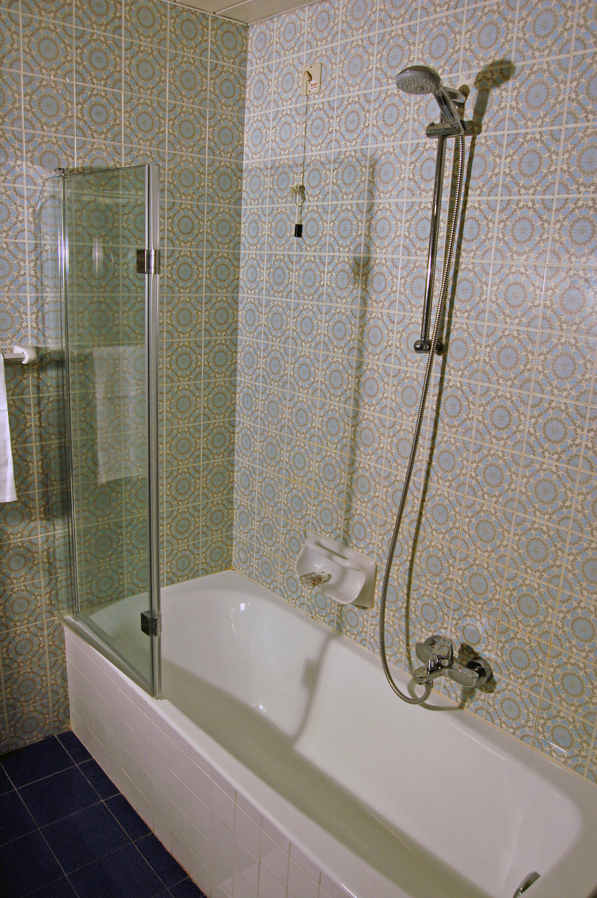 Double or Twin Economy