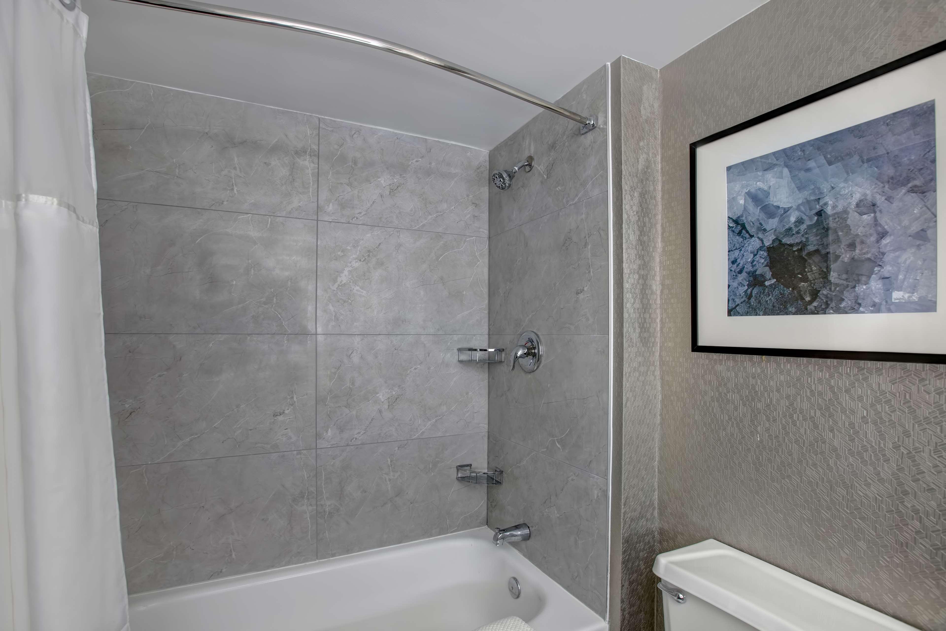 Suite King Bed Non Smoking