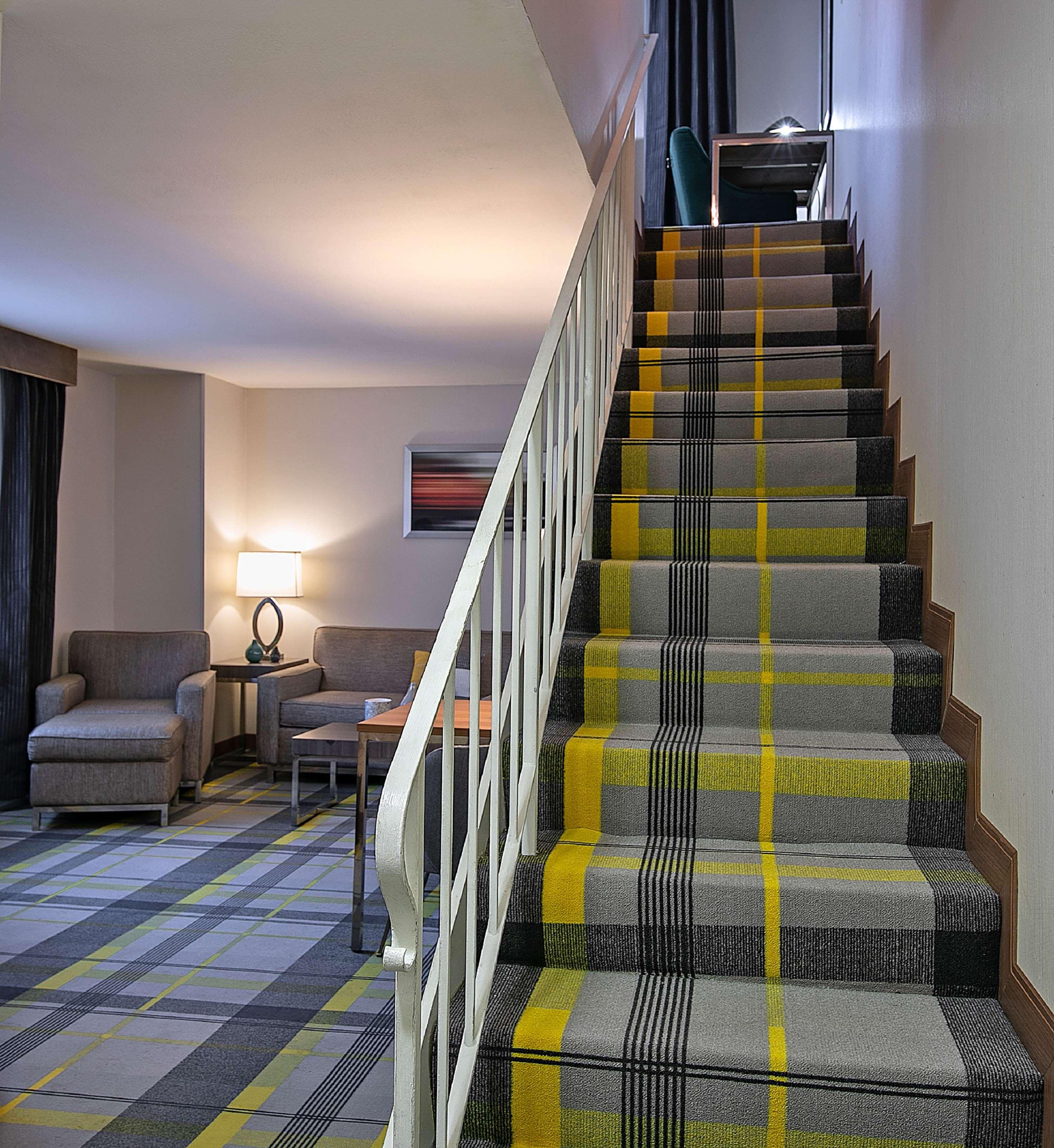 Suite King Bed One Bedroom 