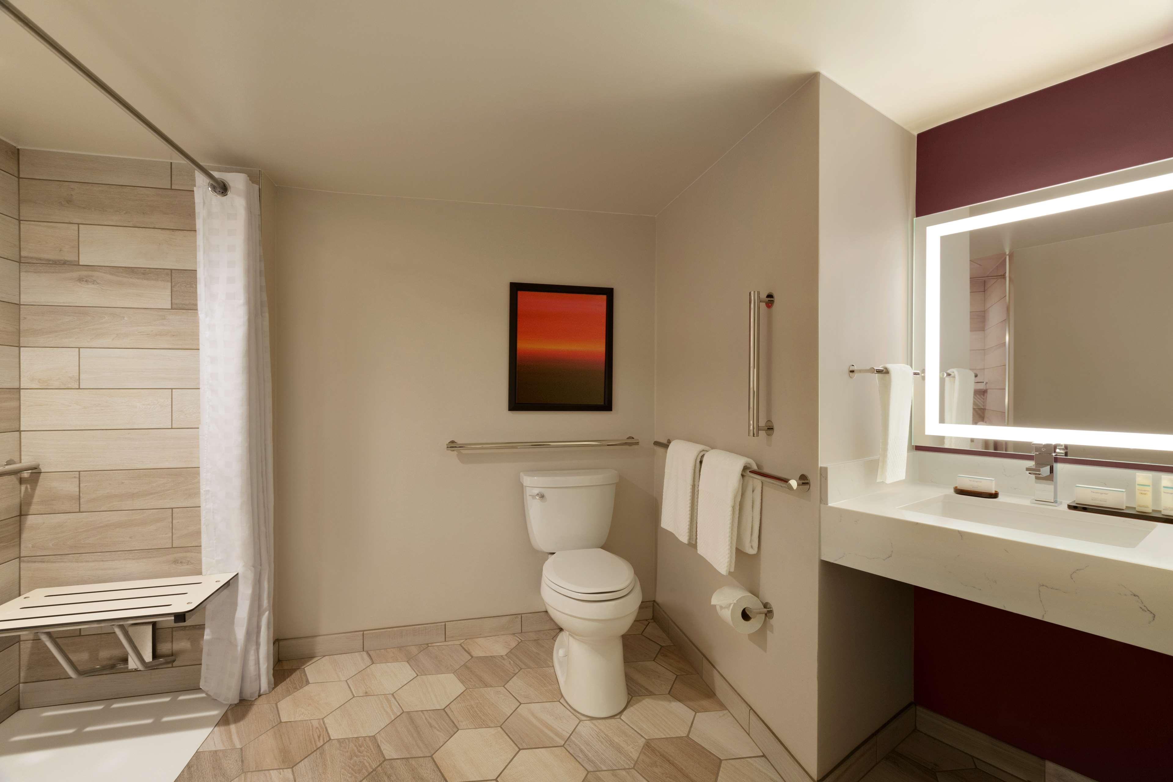 Suite King Bed One Bedroom 