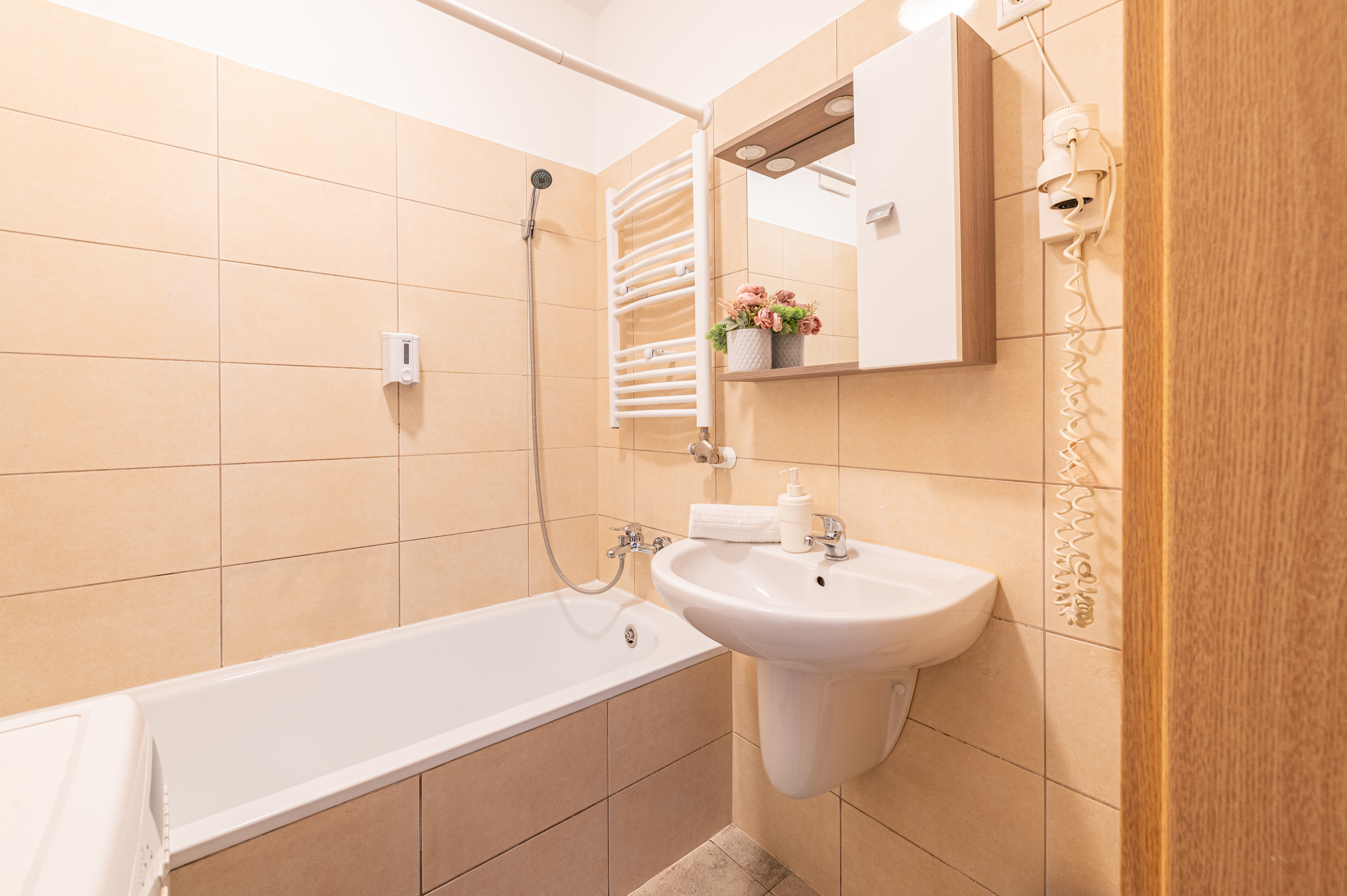 Apartment Deluxe One Bedroom