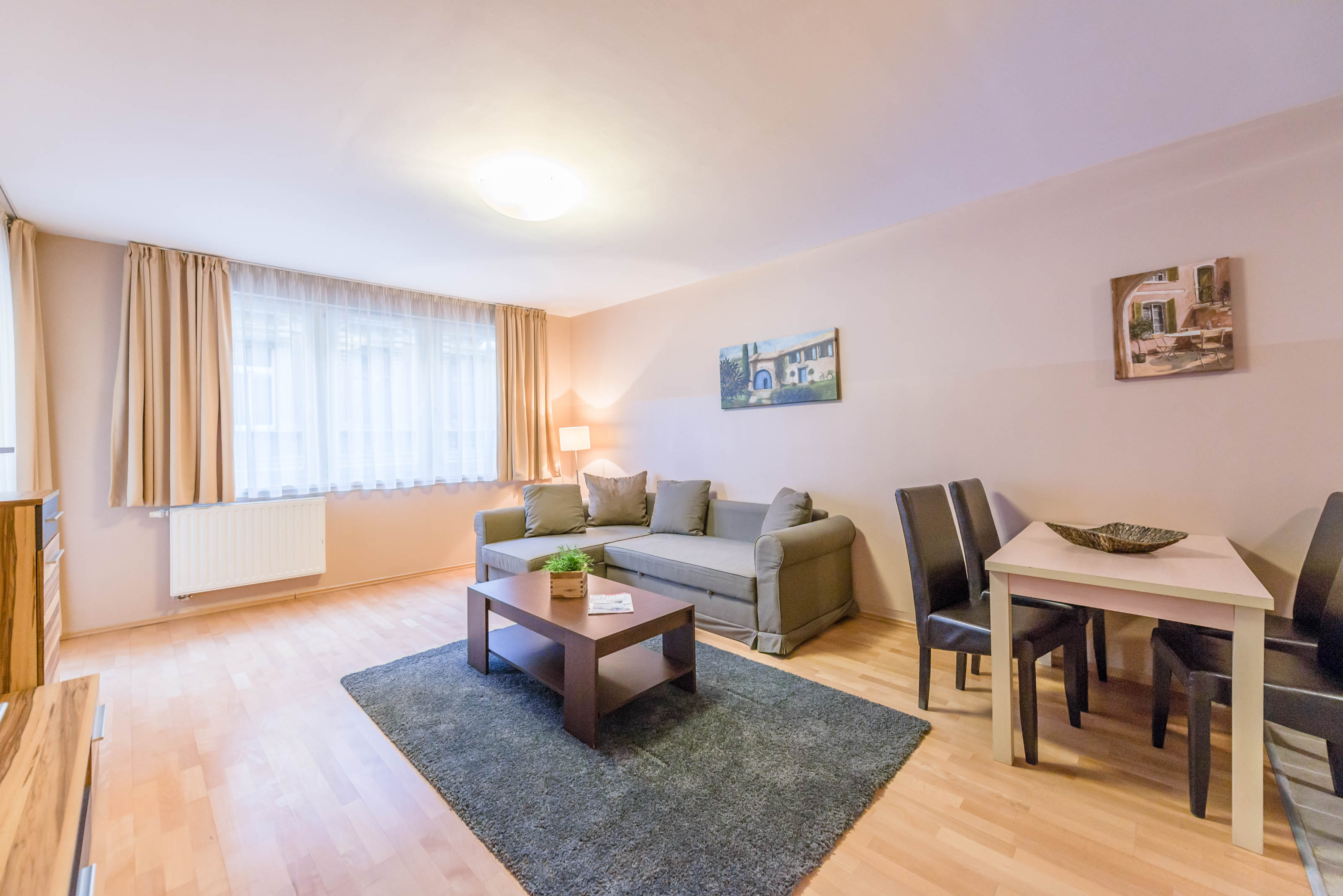 Apartment Deluxe One Bedroom