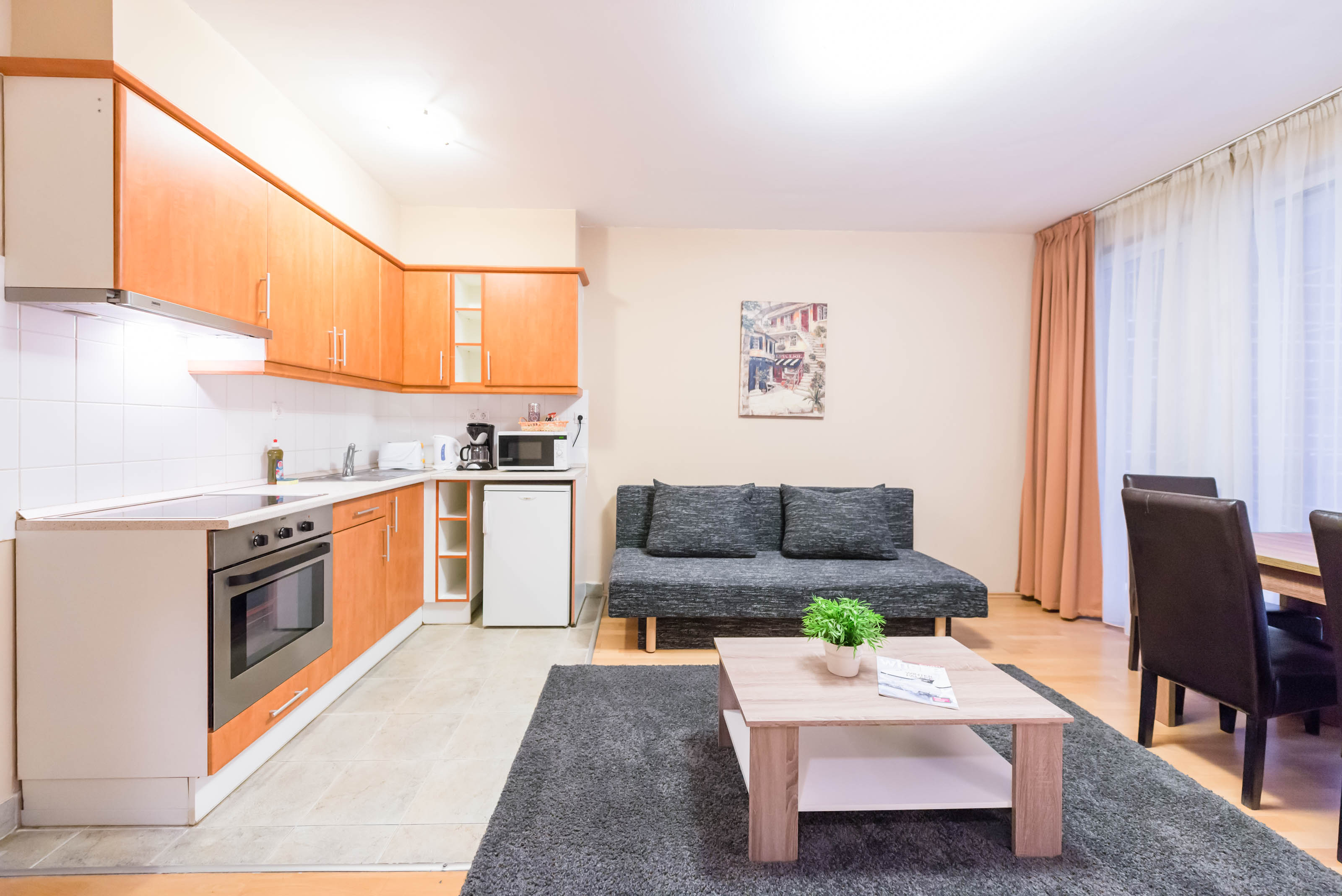 Apartment Deluxe One Bedroom