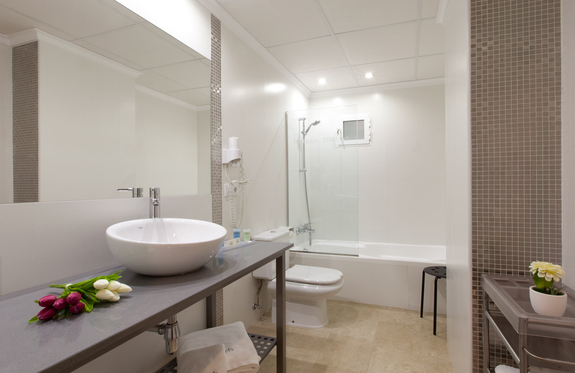 Double or Twin Standard