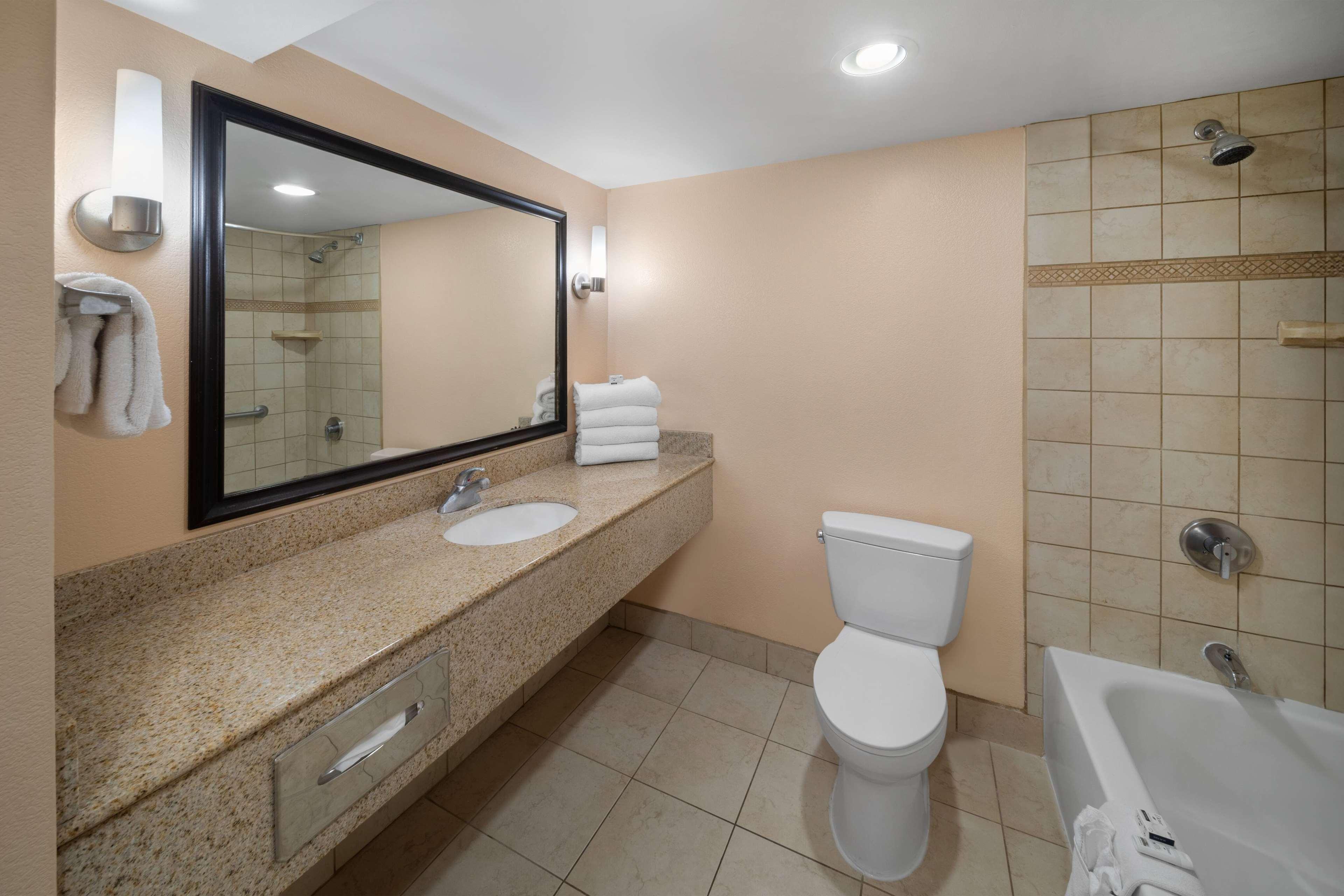 Suite King Bed Non Smoking