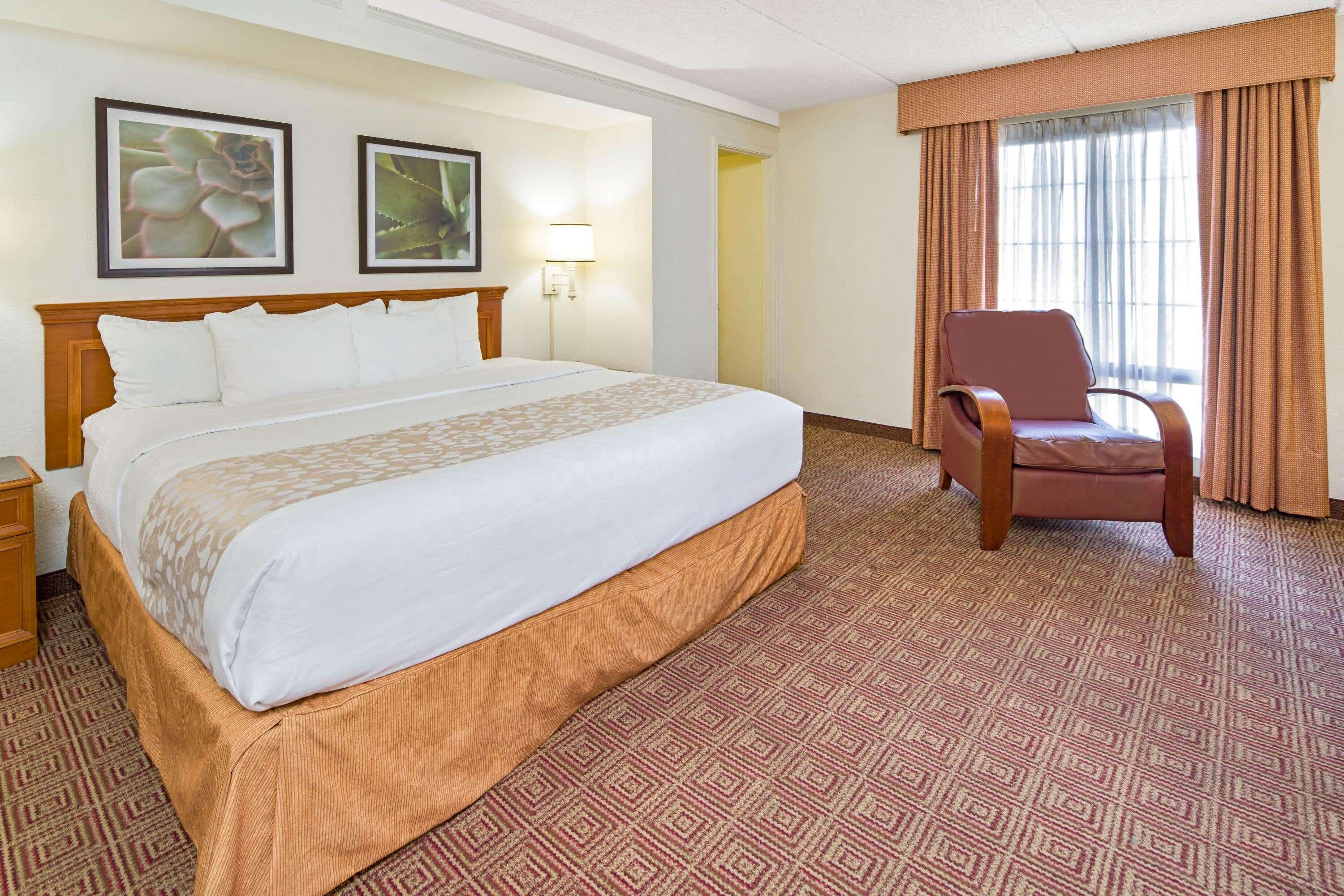 Suite King Bed Non Smoking