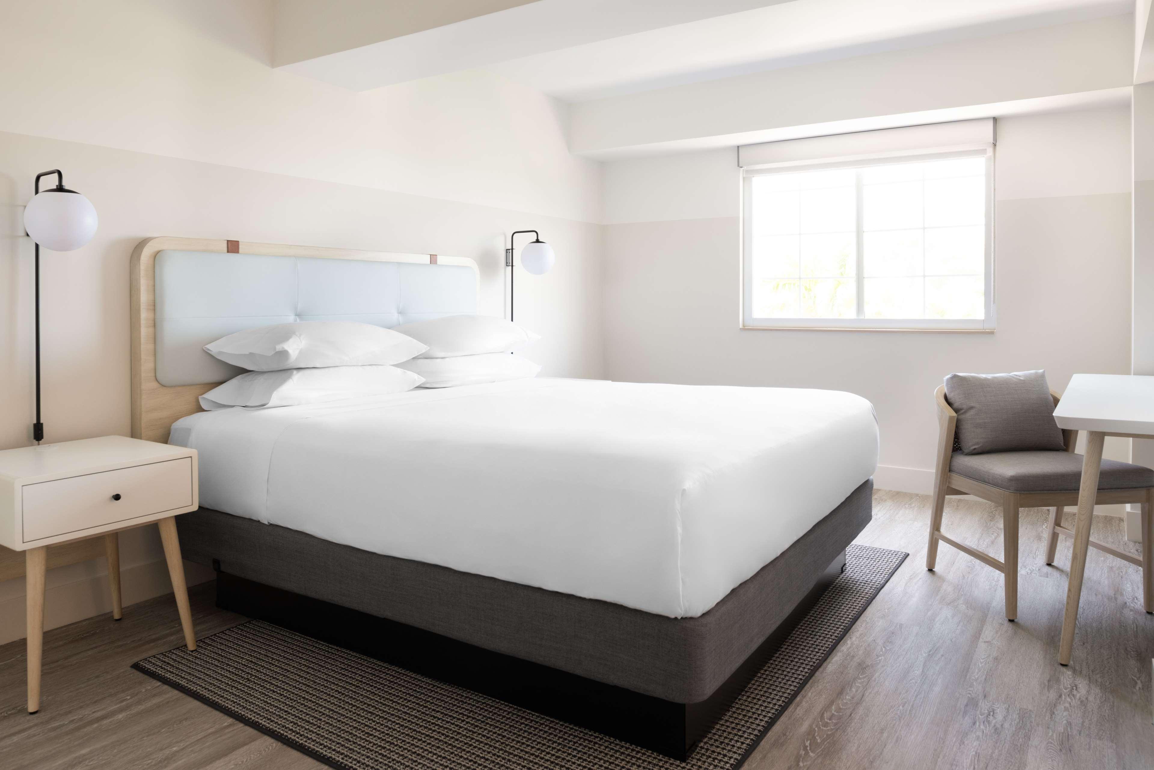 Studio King Size Bed