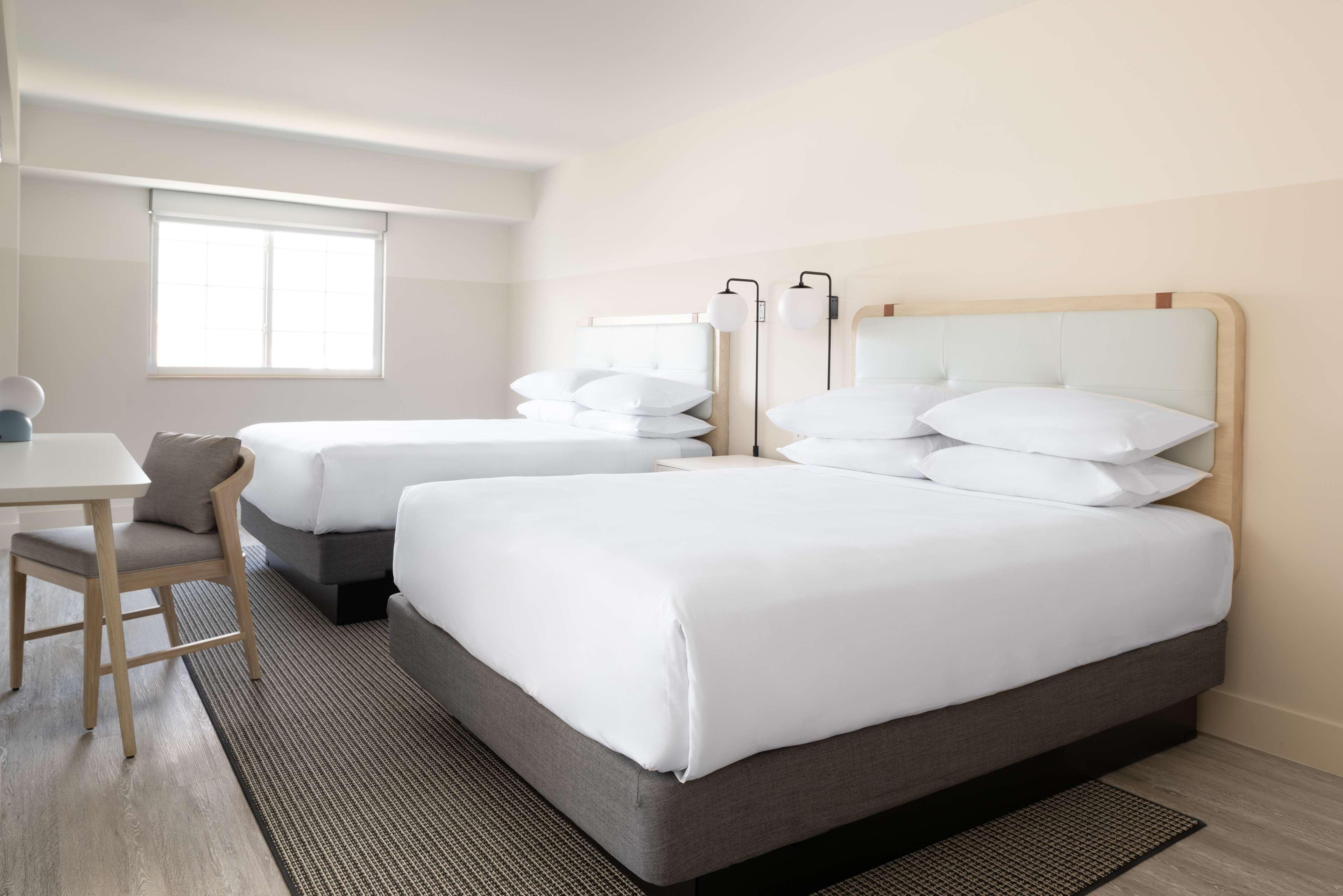 Studio Two Queen Beds