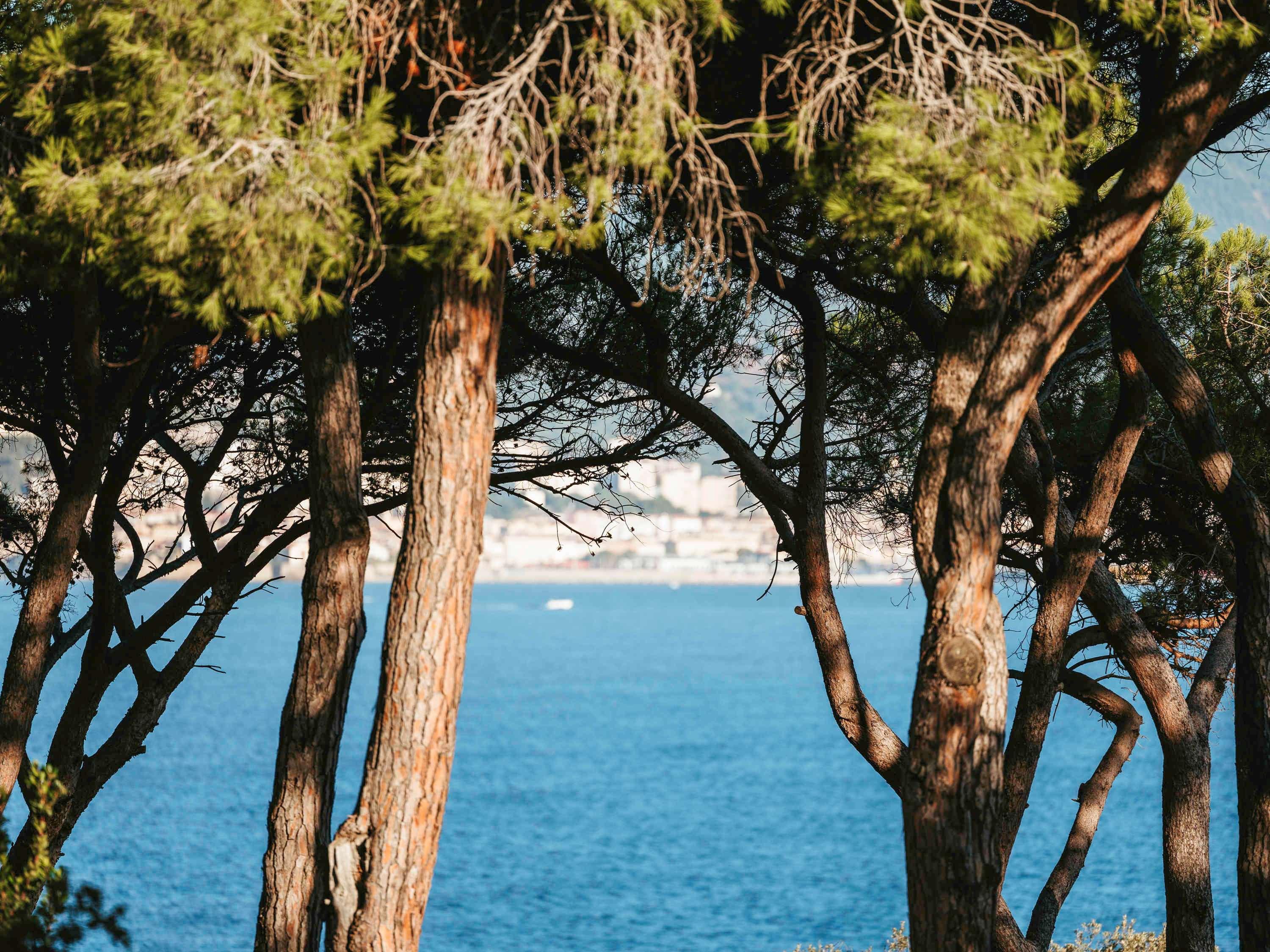 Single Superior Sea View