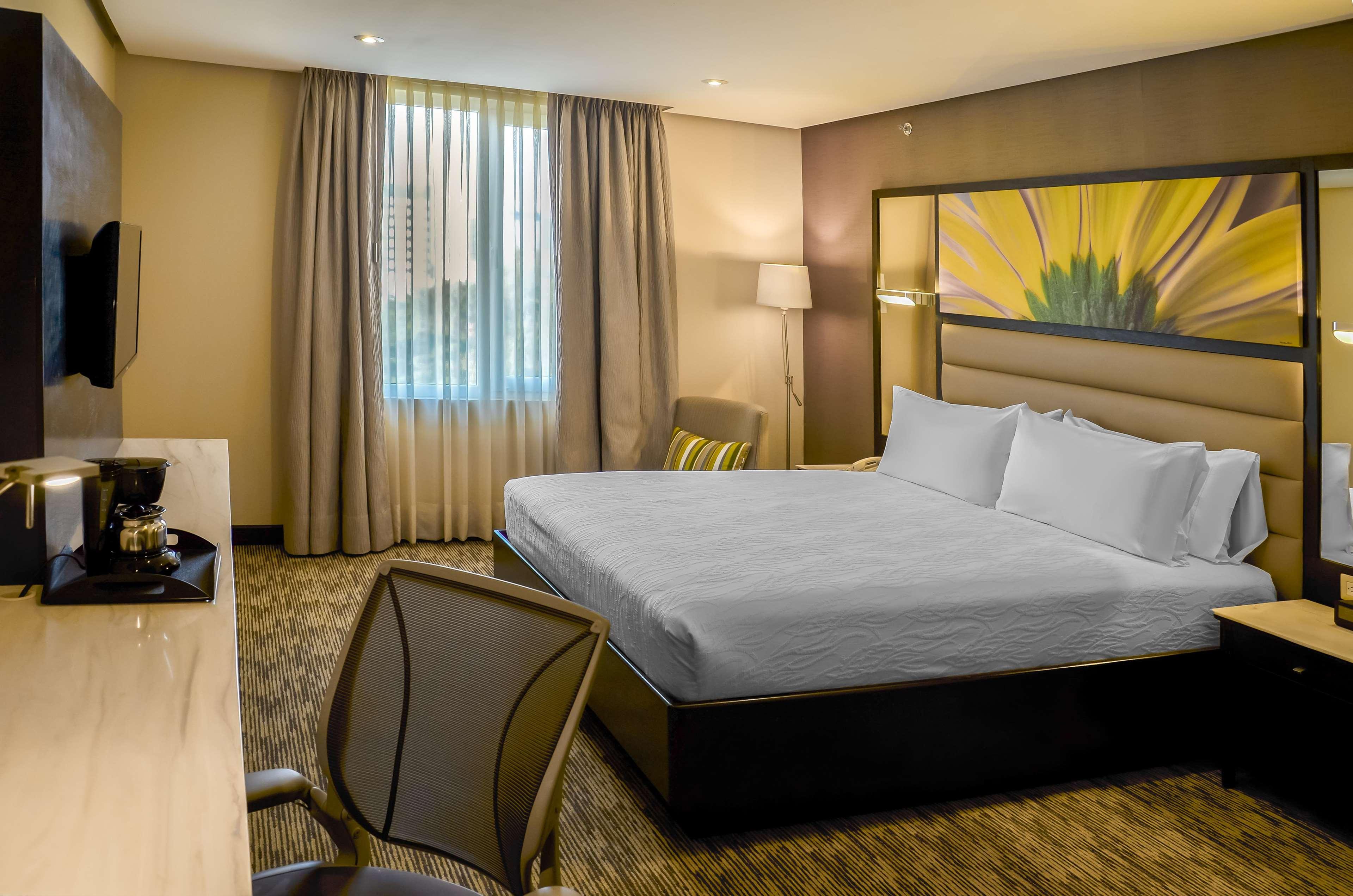 Double City View King Bed