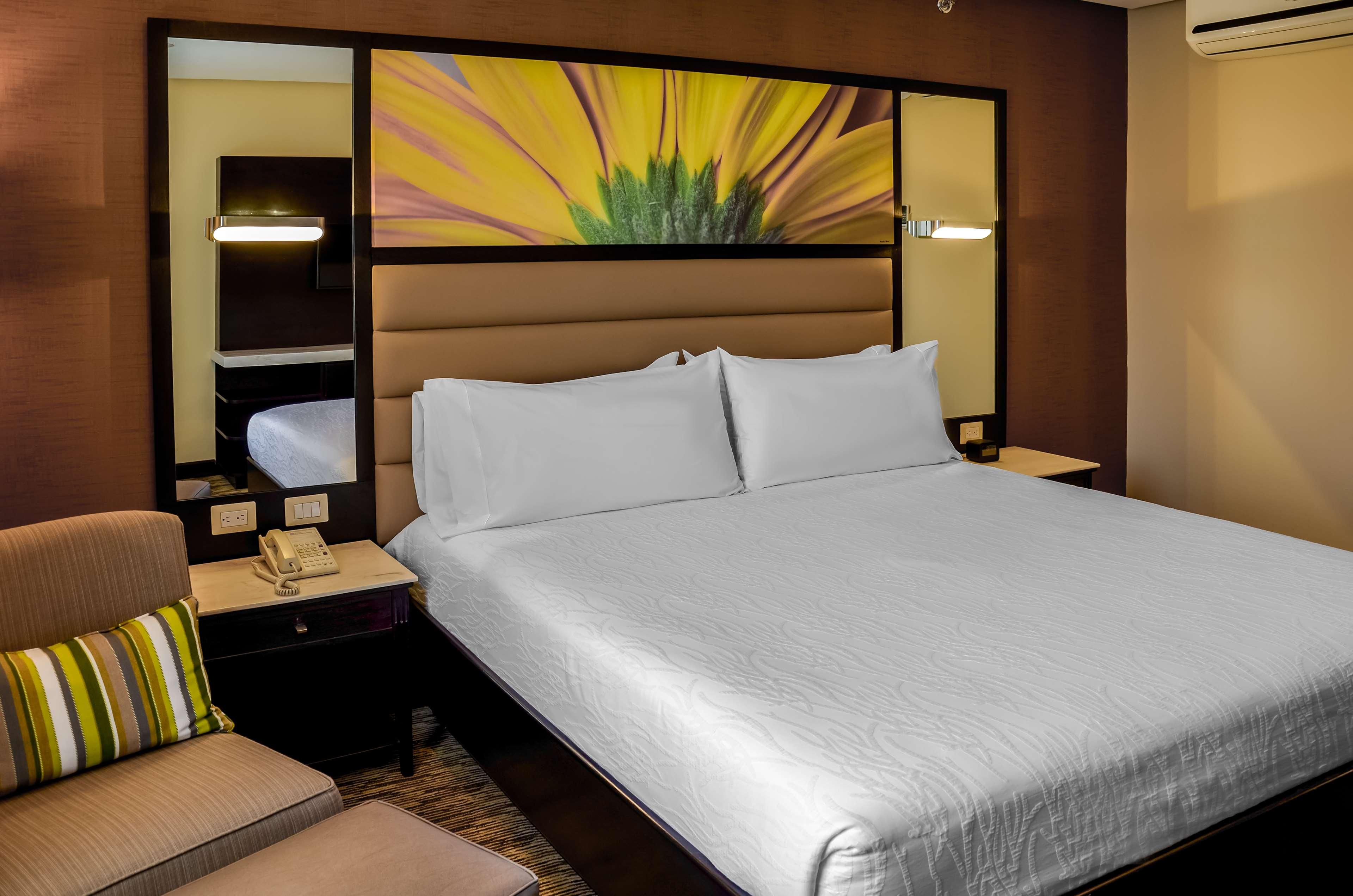 Double City View King Bed