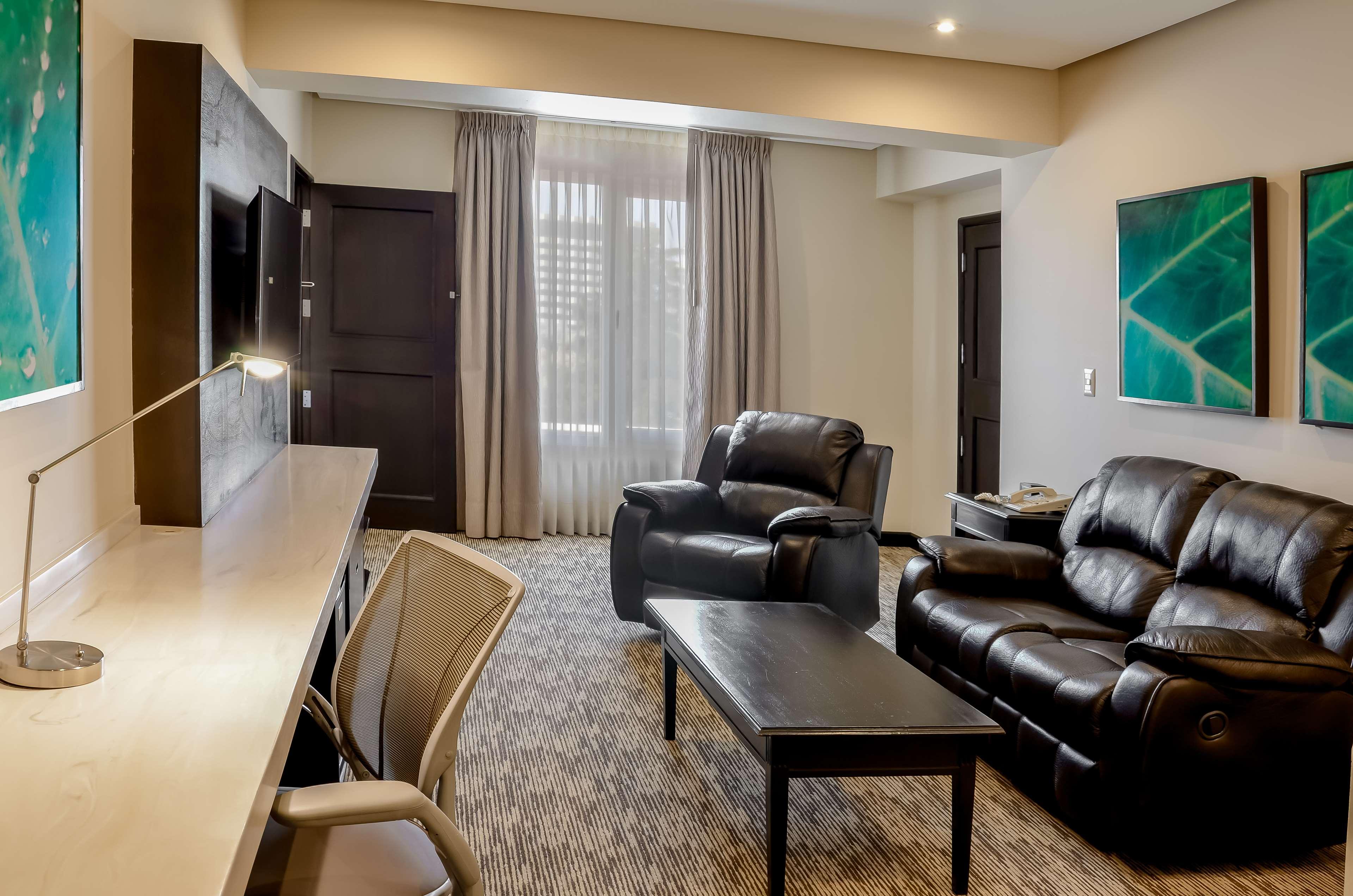 Junior Suite City View King Bed