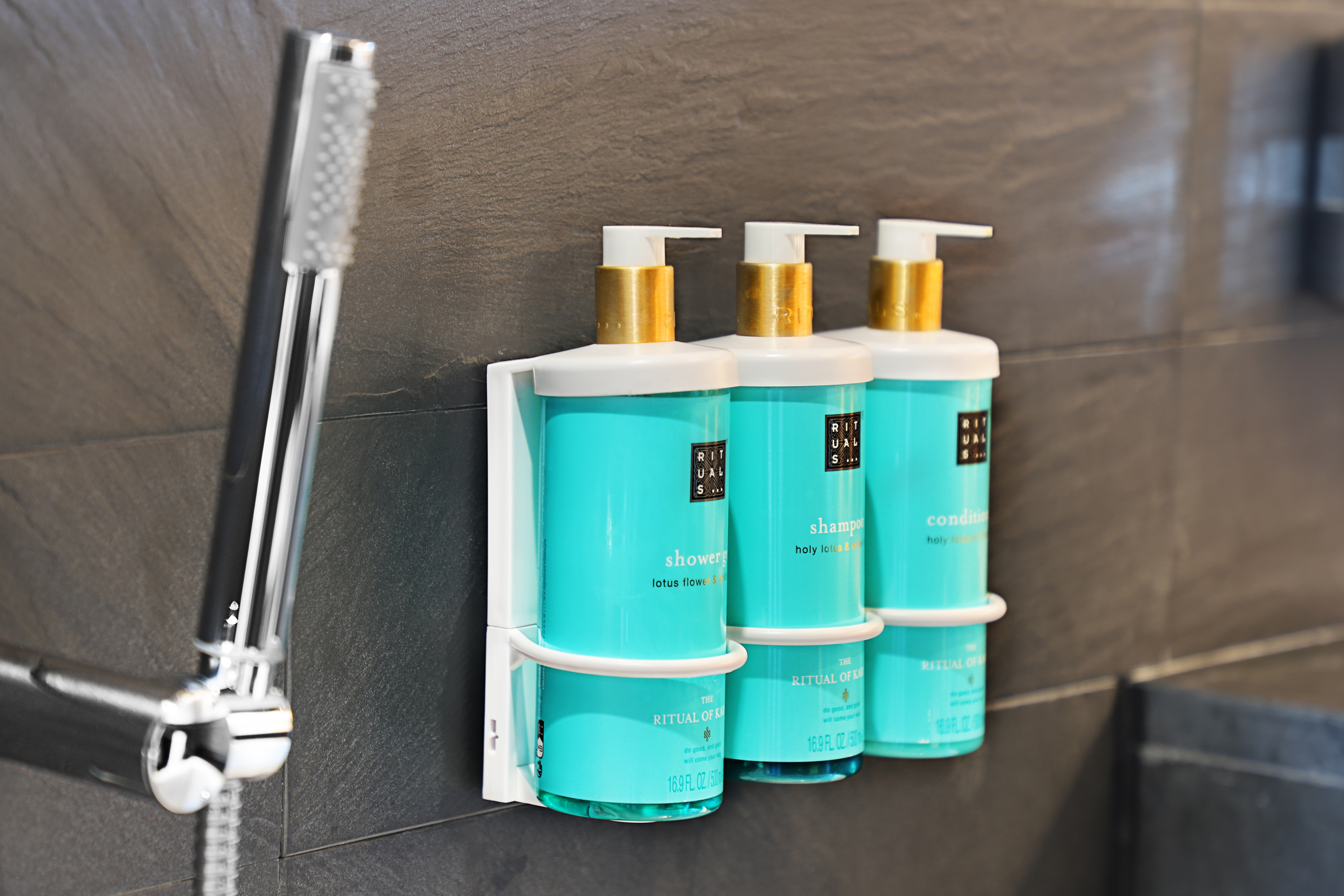 Suite Superior Queen Bed