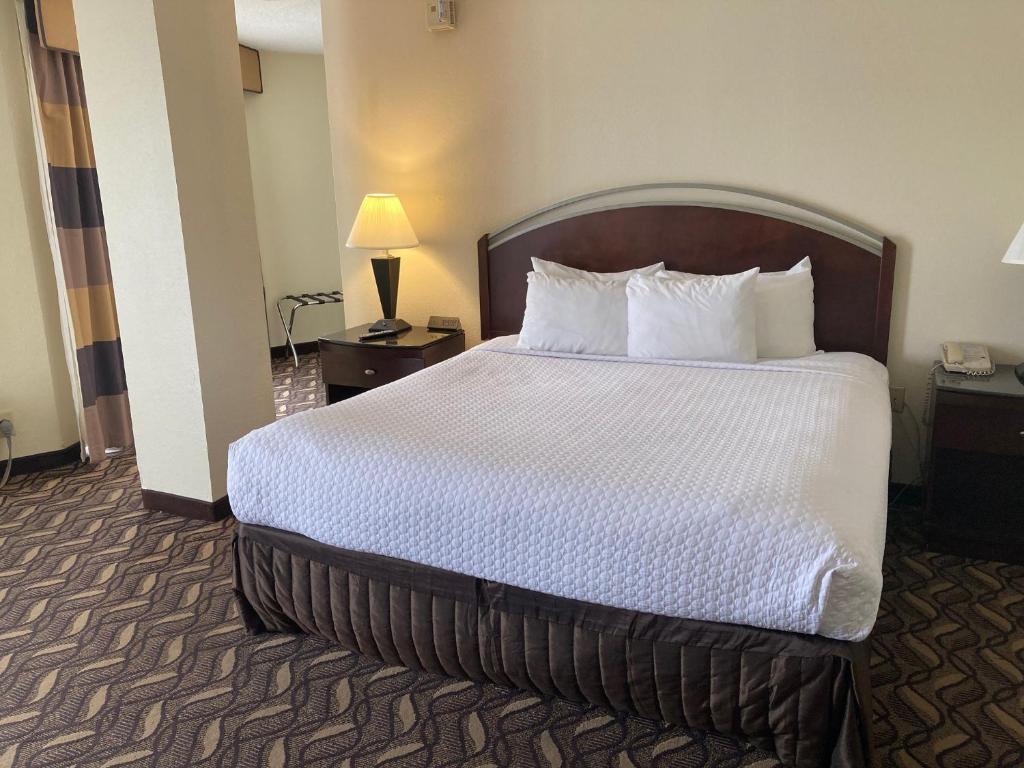 Studio King Size Bed